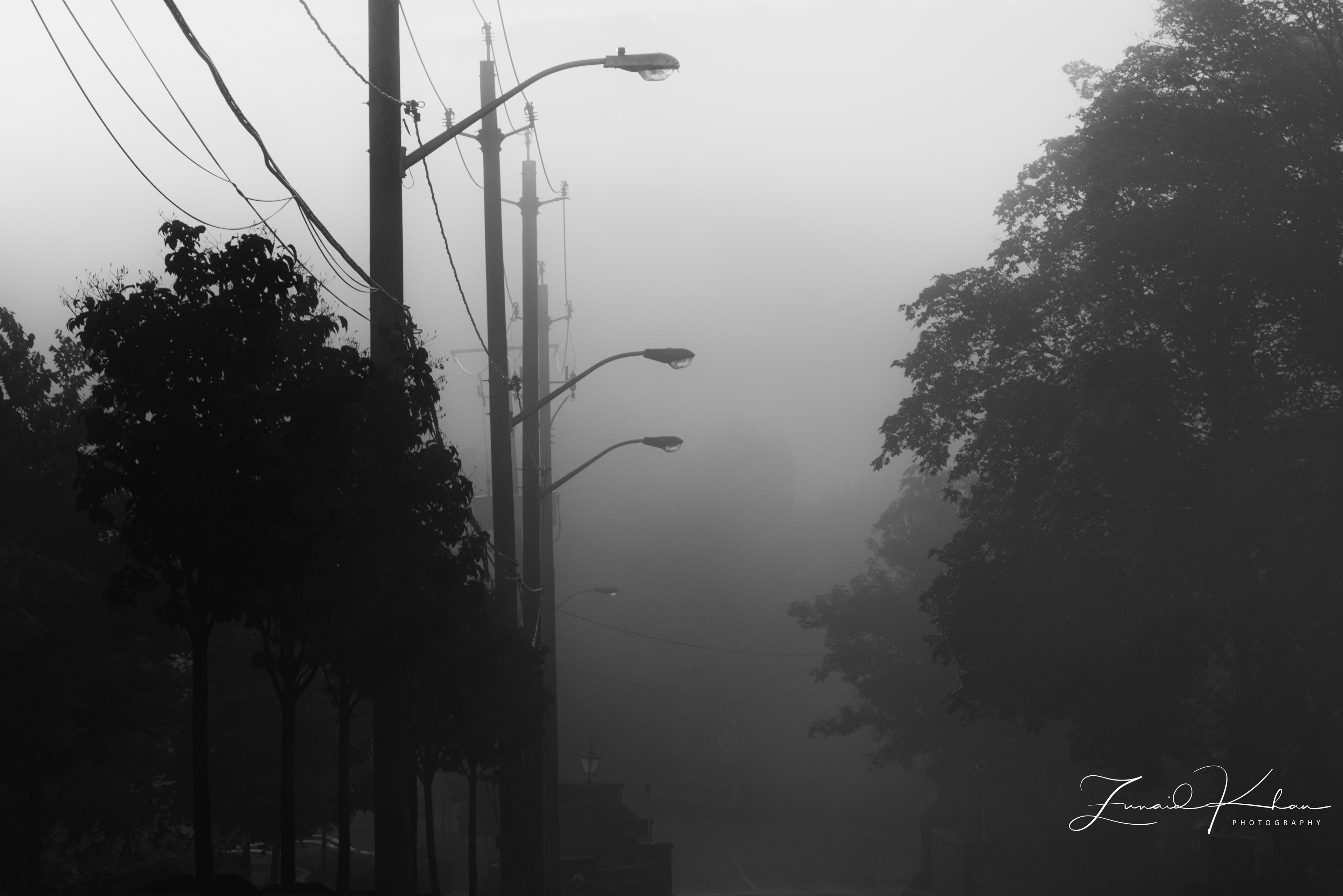 Foggy Morning