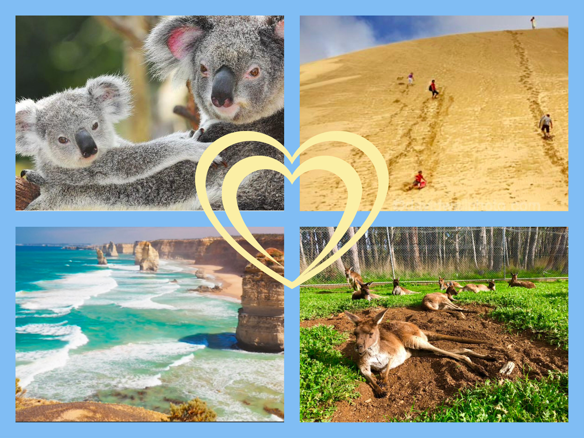 Wandering with the Aussie (Part 2)