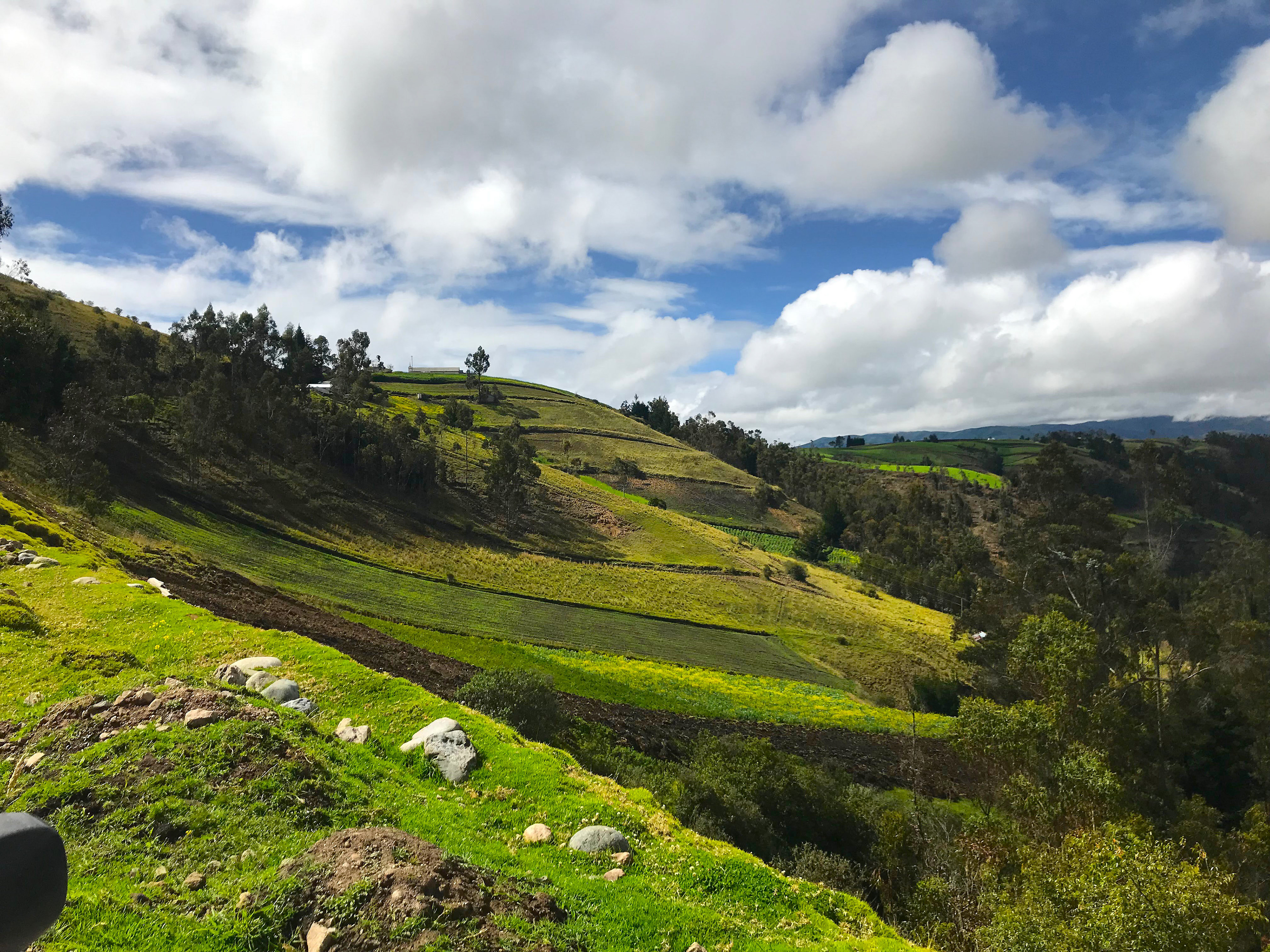 Mountains of the Chimborazo Province of Ecuador