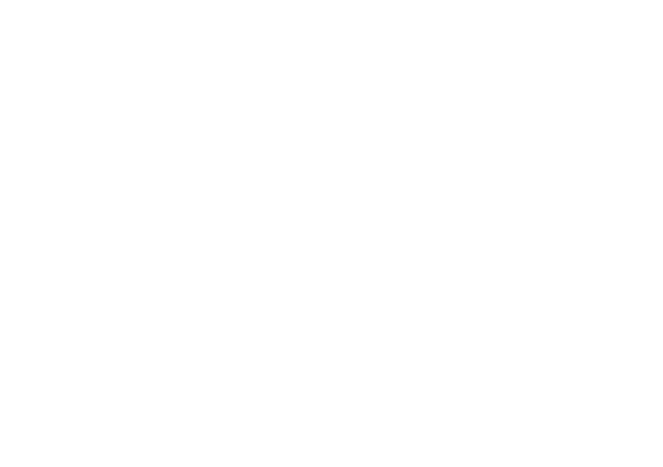 Bart Buijs