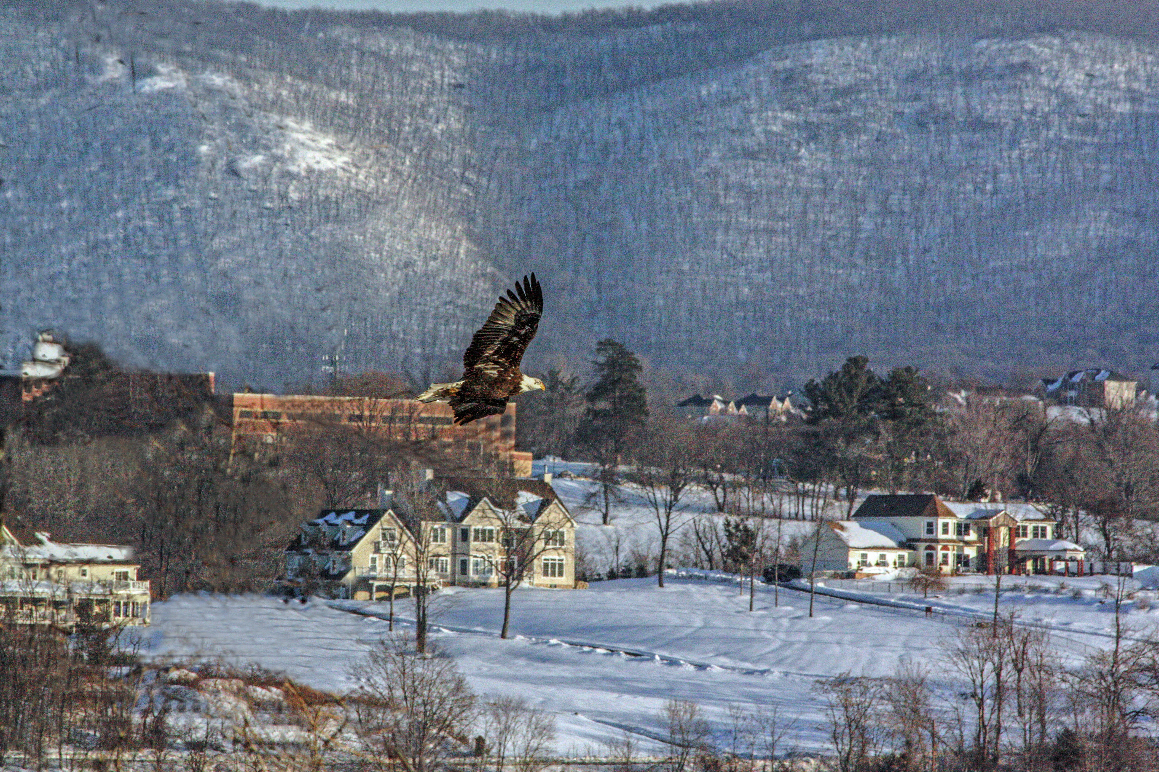 Hudson Valley Tourist