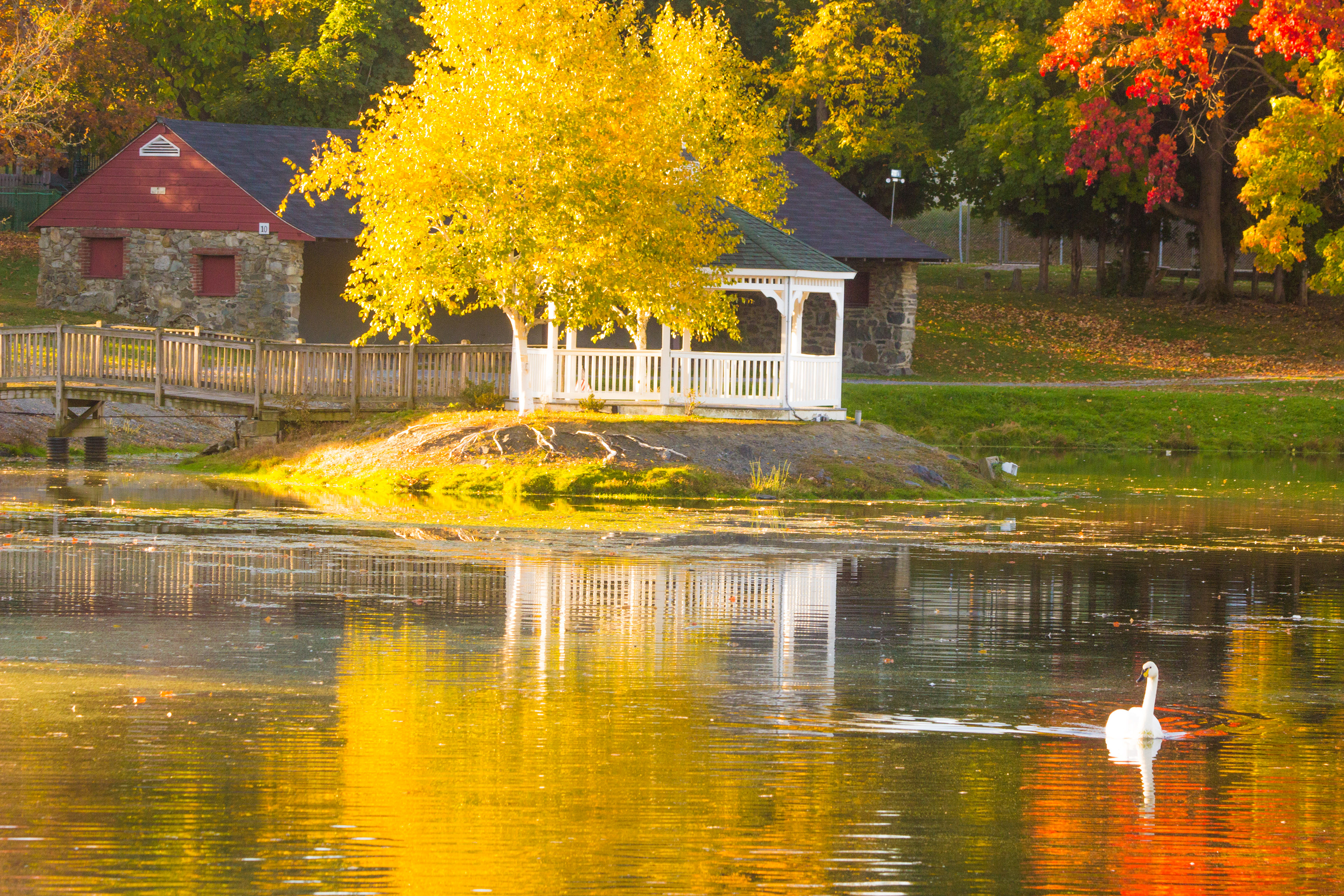 Fall Colors of Rings Pond