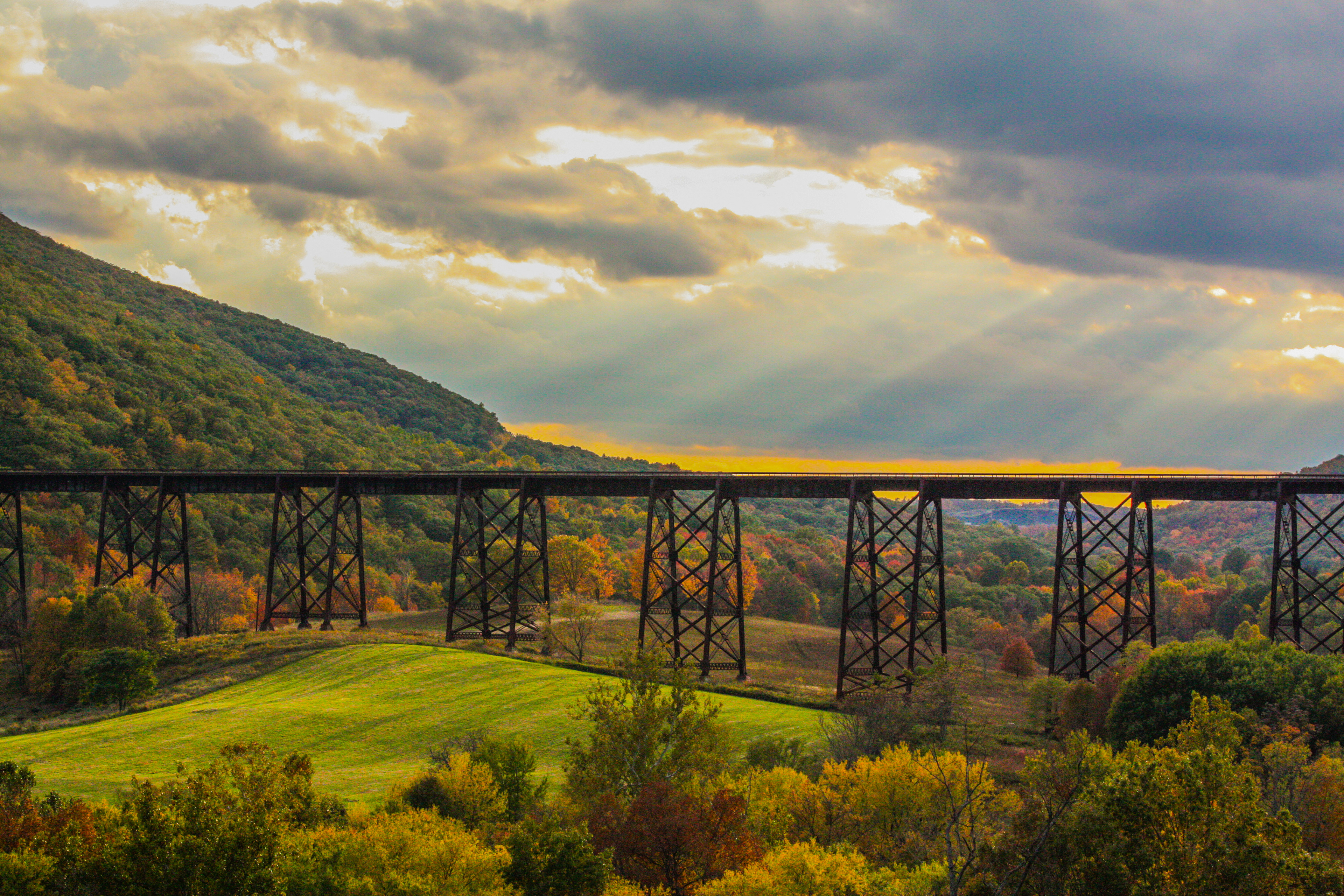 ADMIRATION FROM HEAVEN