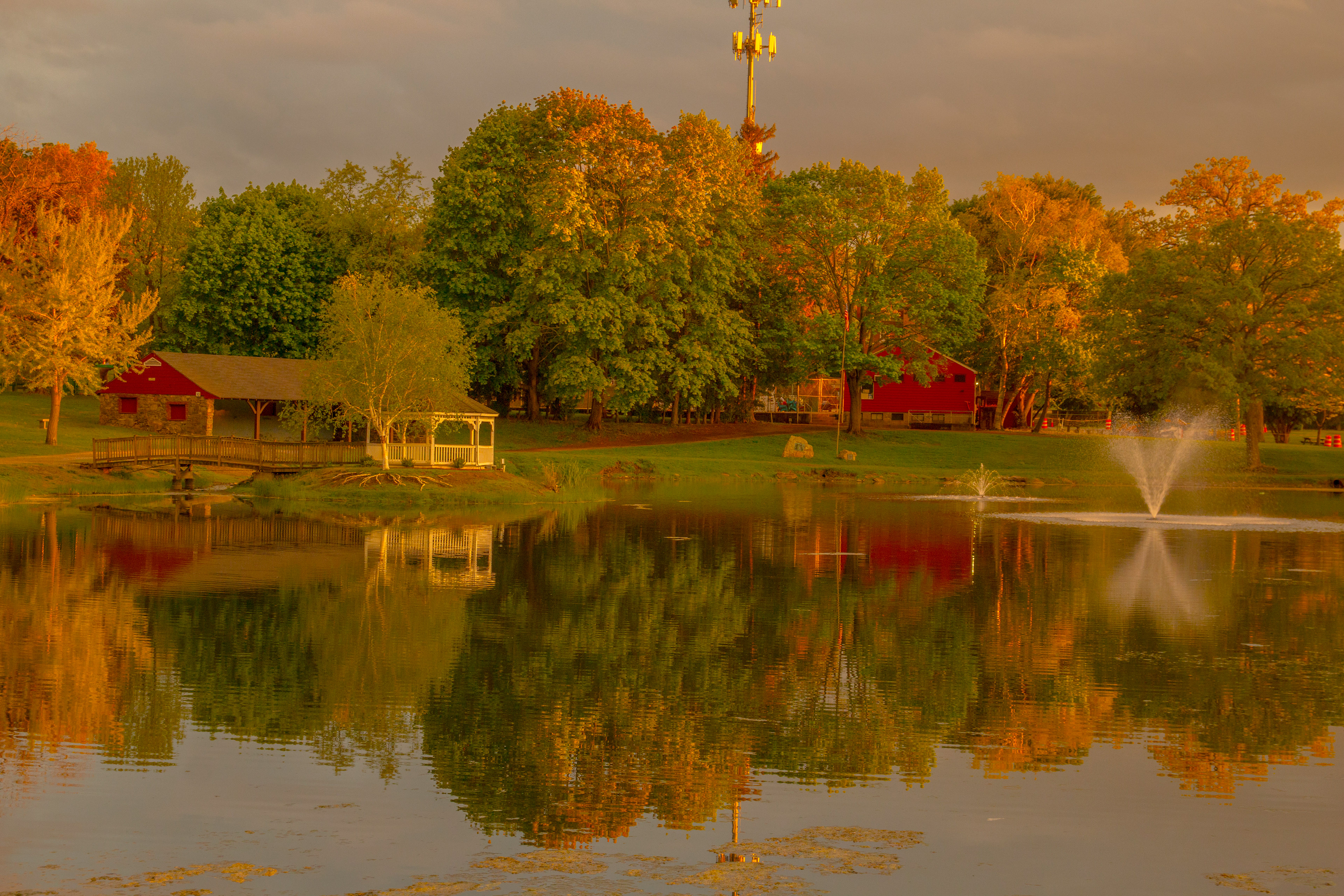 Rings Pond in Fall