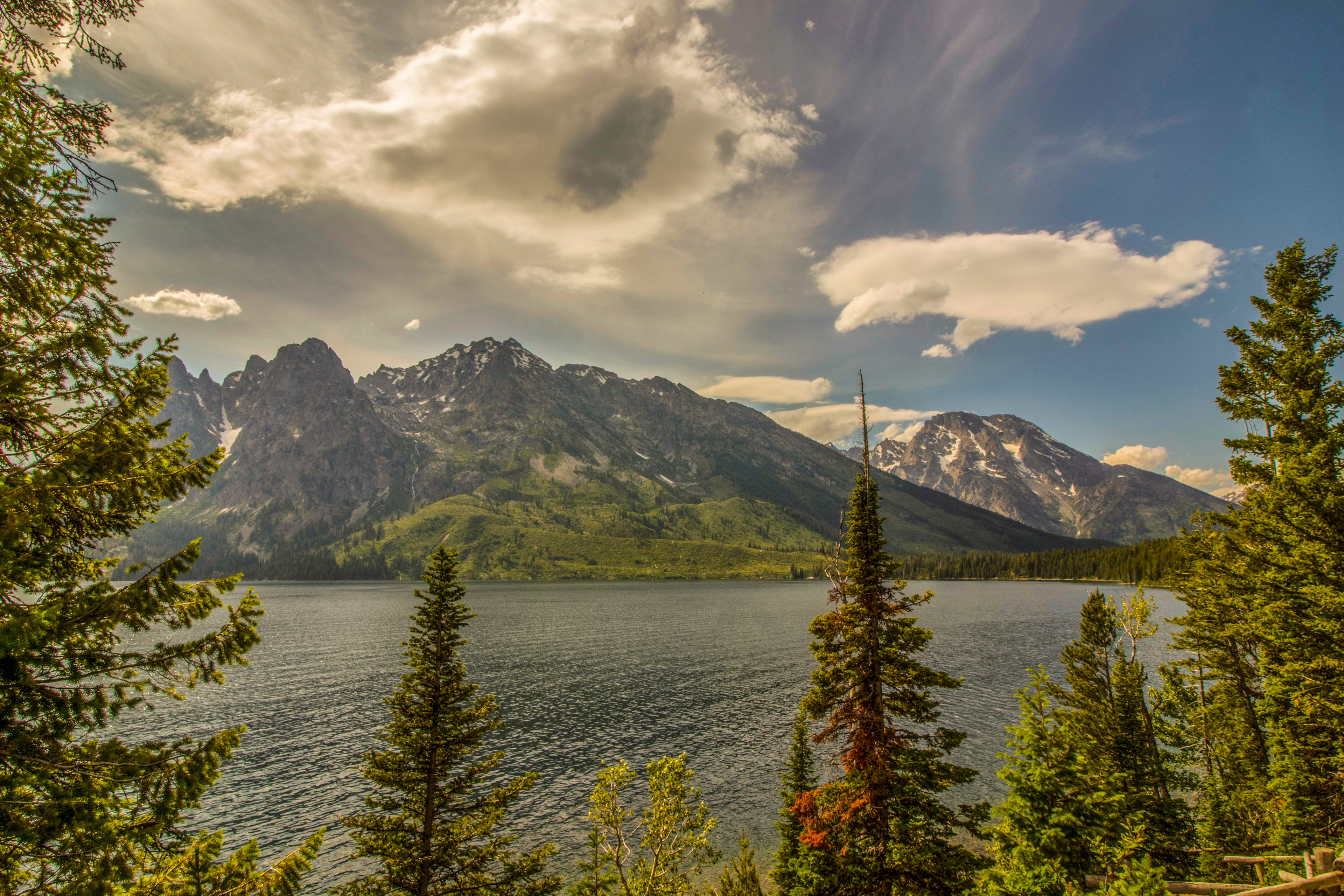 Peaking Through The Trees