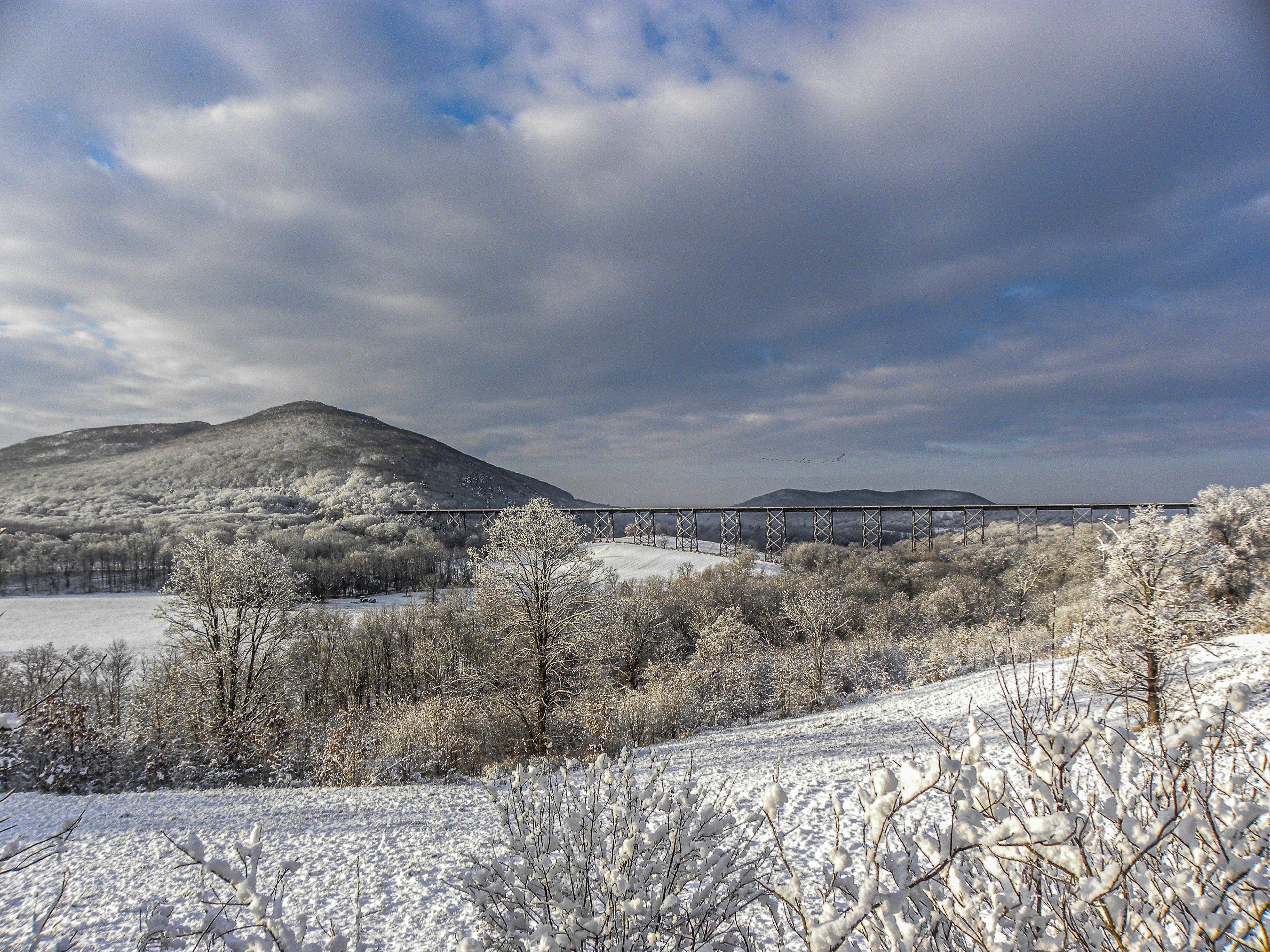 Snow Covered Trestle