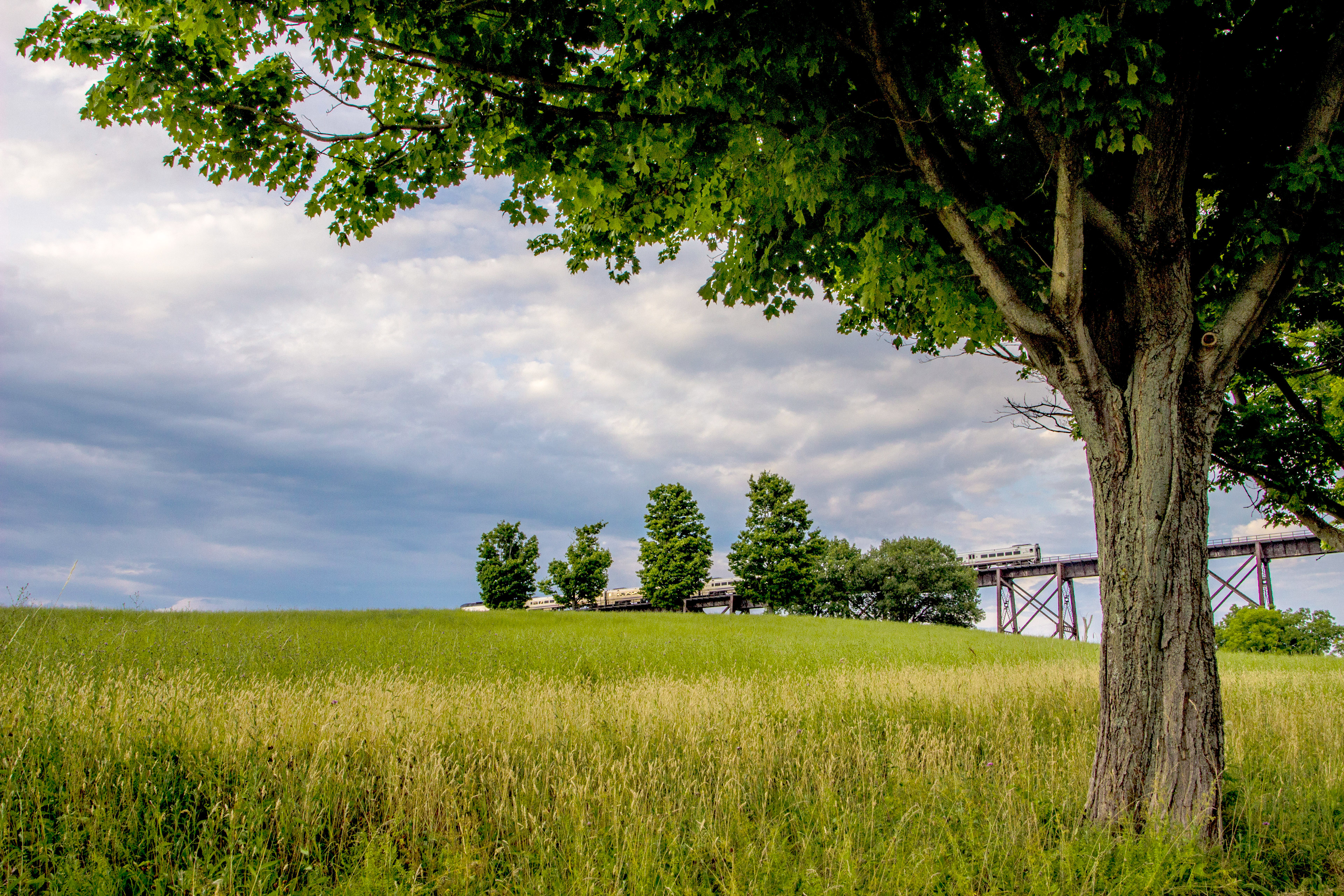 sneak view of the Moodna Viaduct