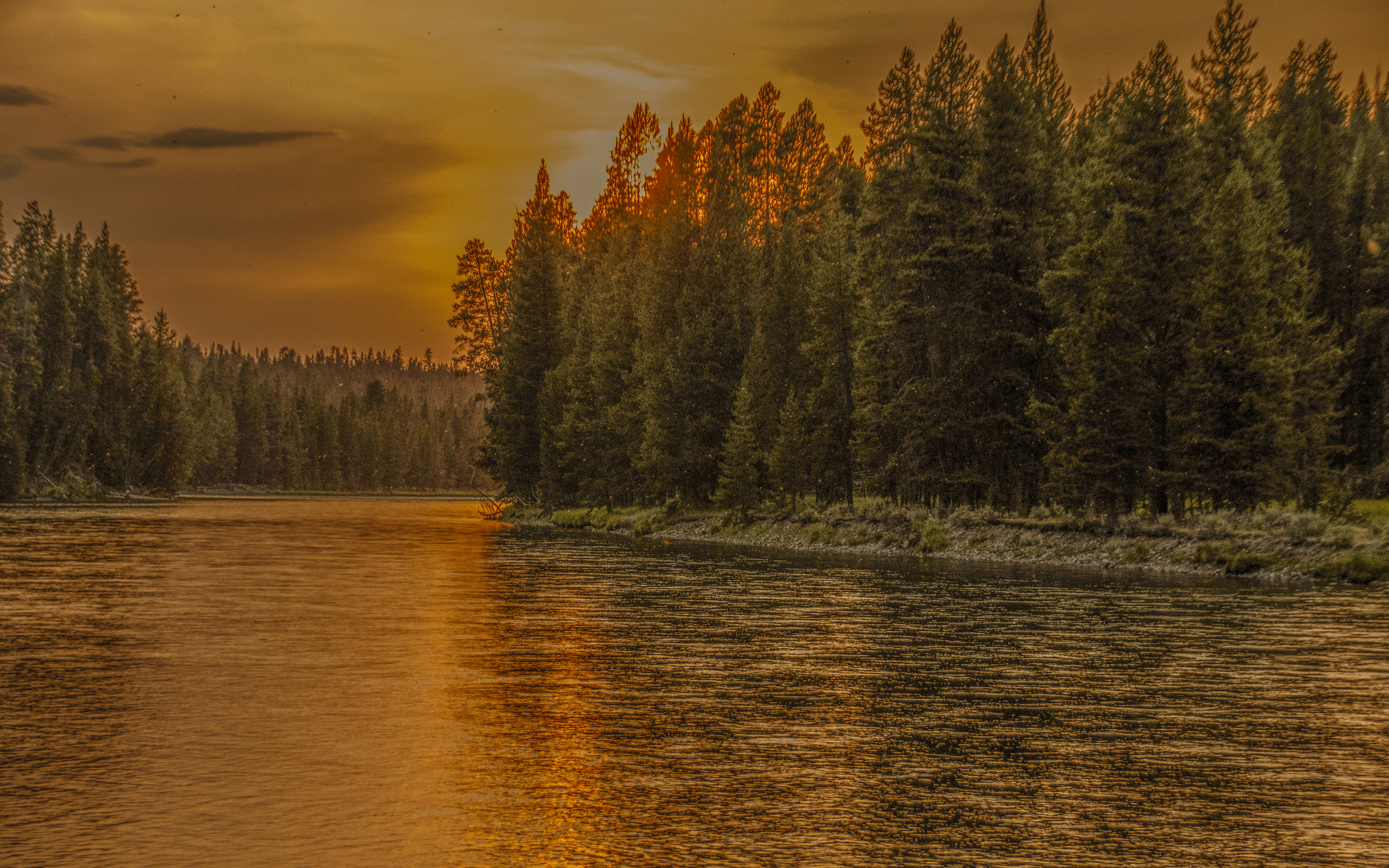 Sunrise on Yellowstone River