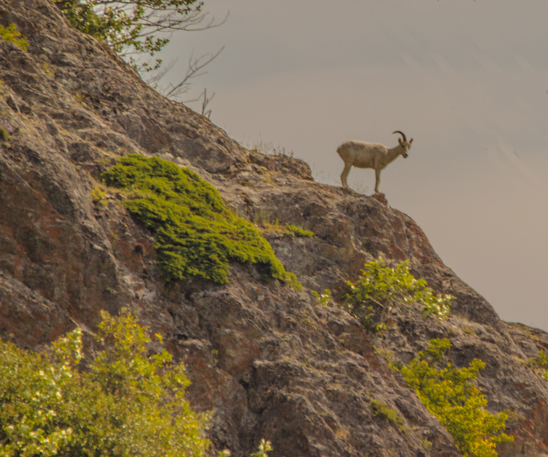Watching the World Go by