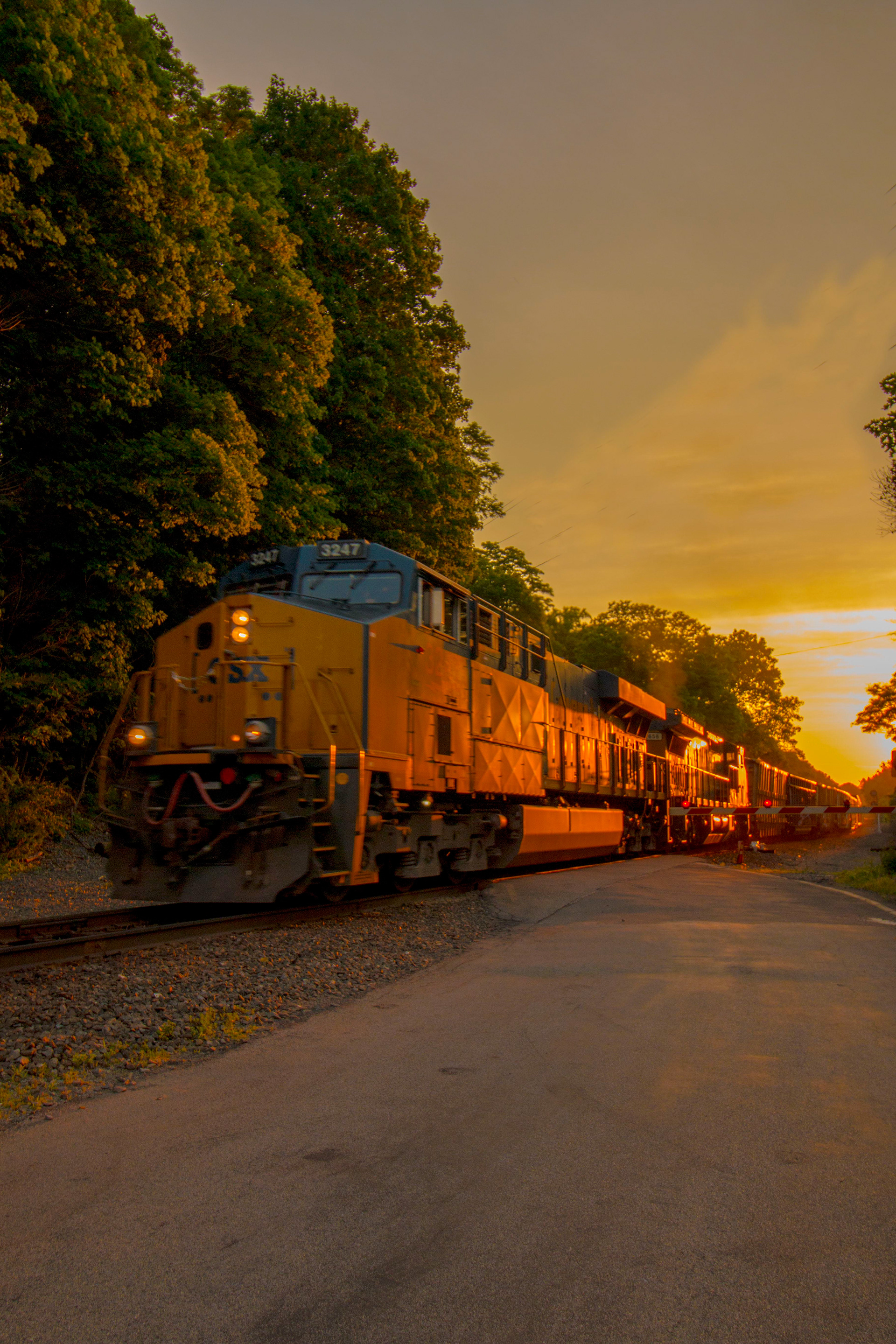 Sunset Train