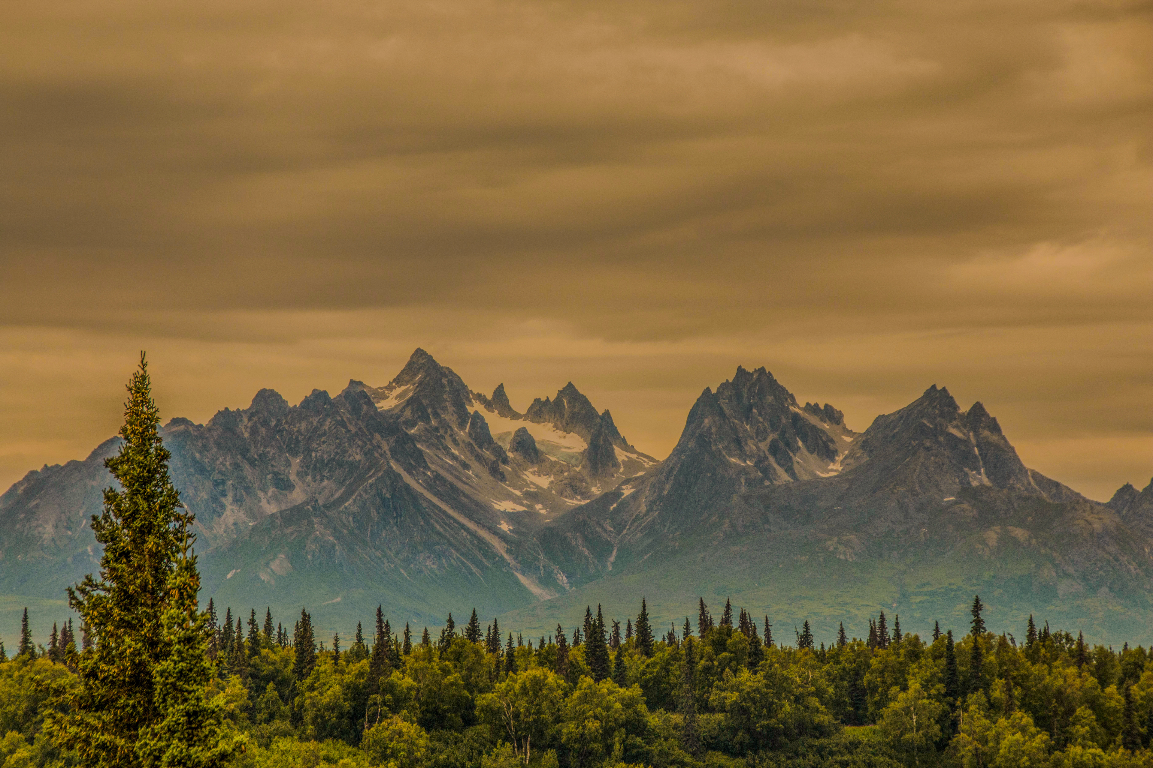 WHO'S TALLER NOW WINTER 2016 DUTCHESS REGIONAL PROFESSIONAL PHOTOGRAPHERS BEST OF SHOW AWARD WINNER