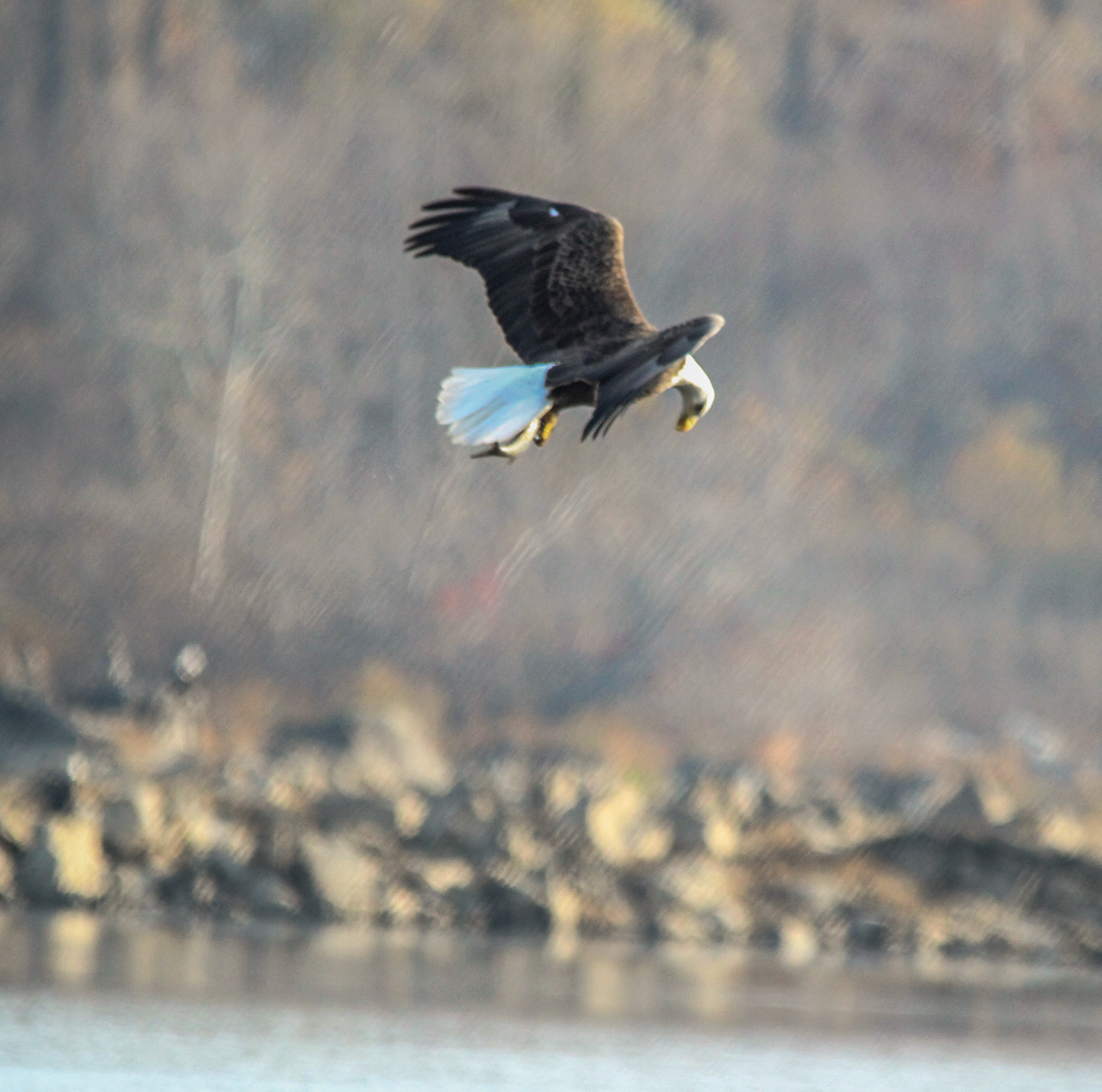 checking the catch