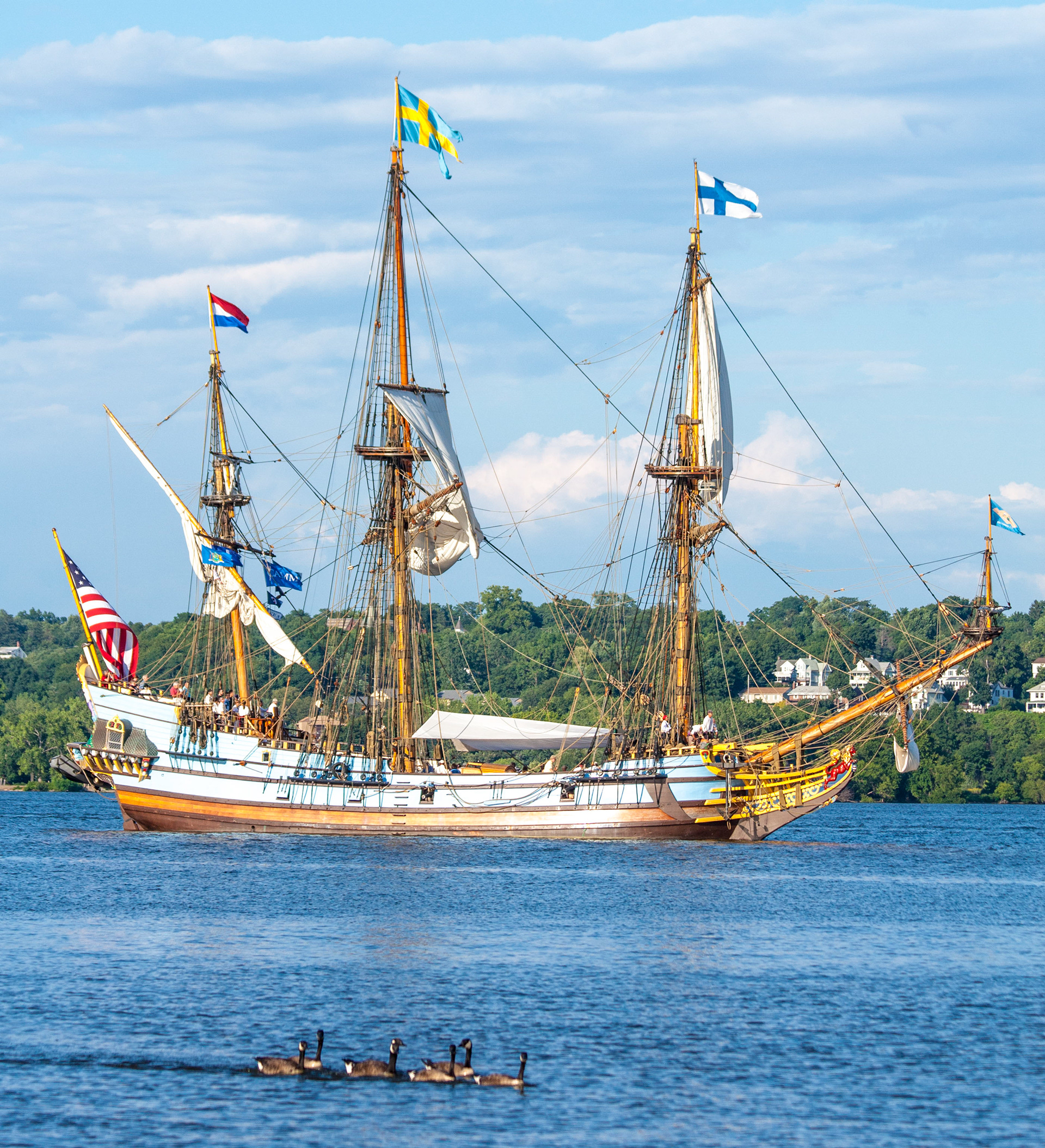 Hudson River Visiter