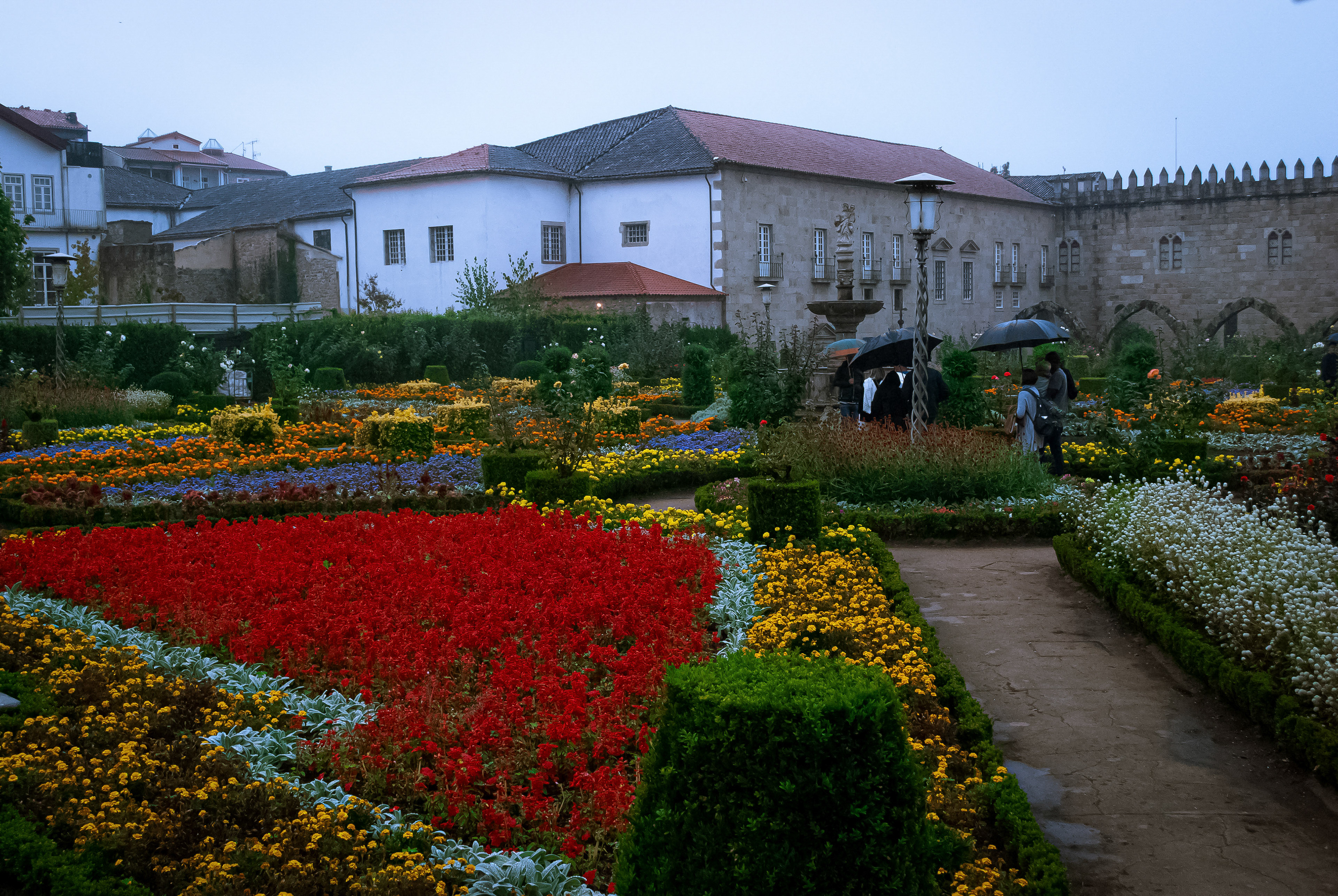 Floricultura Lusitana — imagem 38