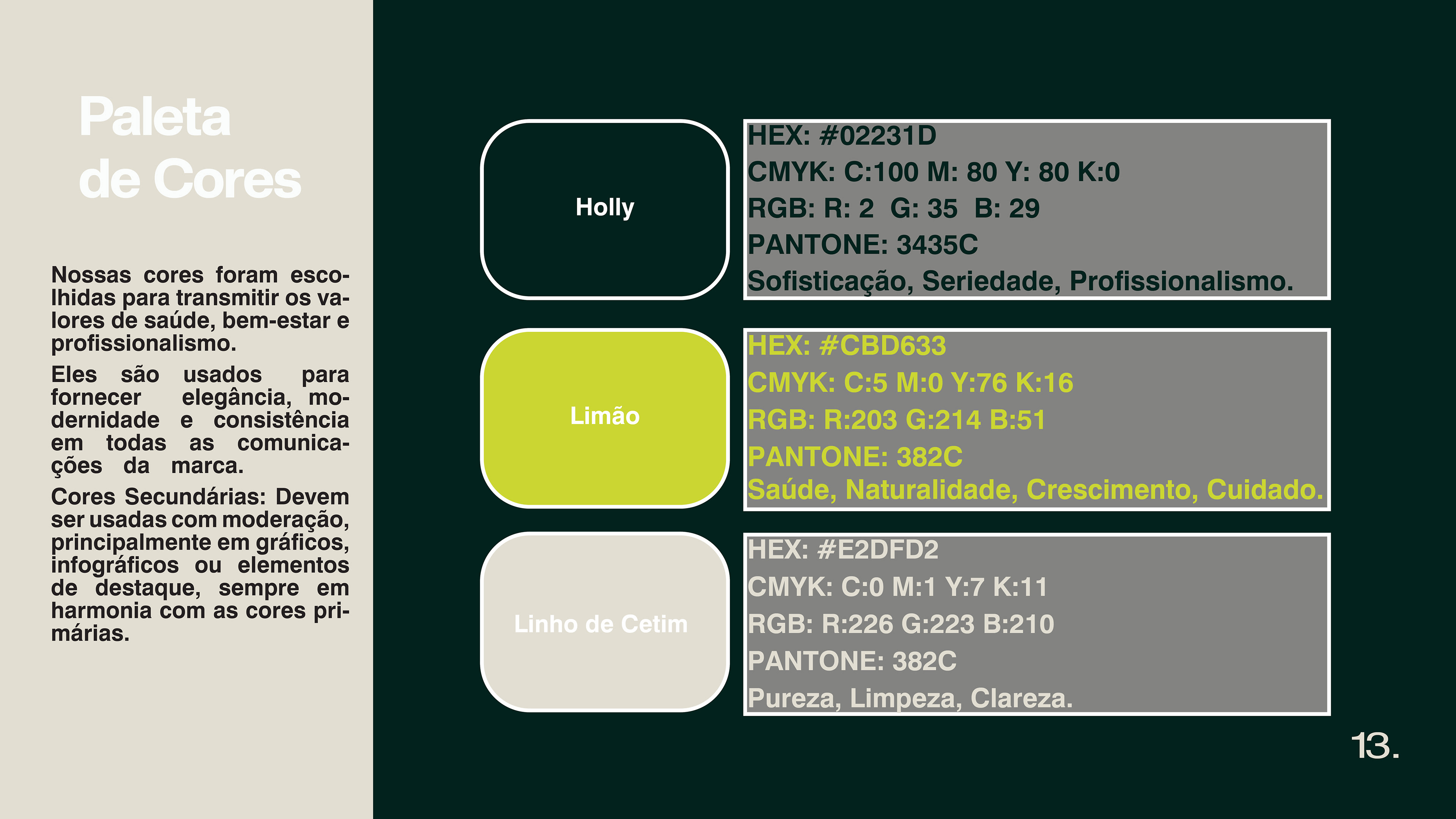 BRANDBOOK DEPYL CARE — imagem 13