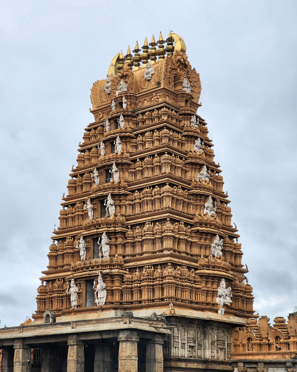 Nanjanagoodu
