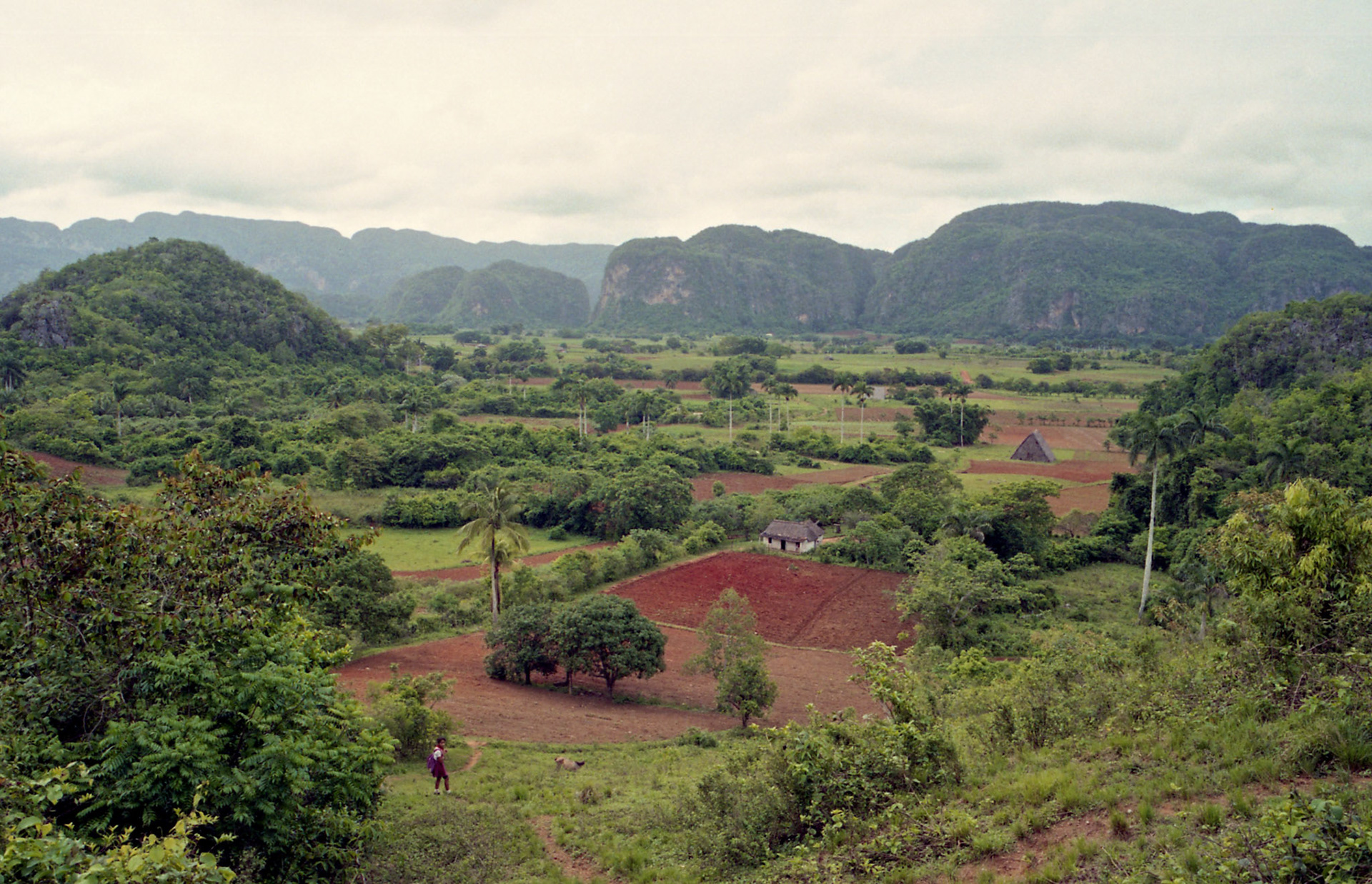 Viñales, Cuba