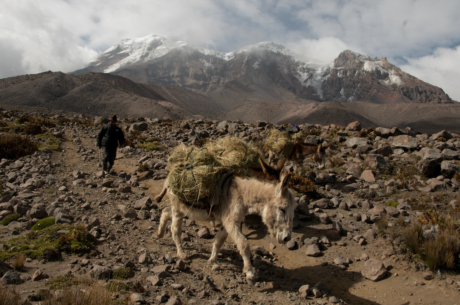 Baltazar Ushca, El Ultimo Hielero, Chimborazo, Ecuador