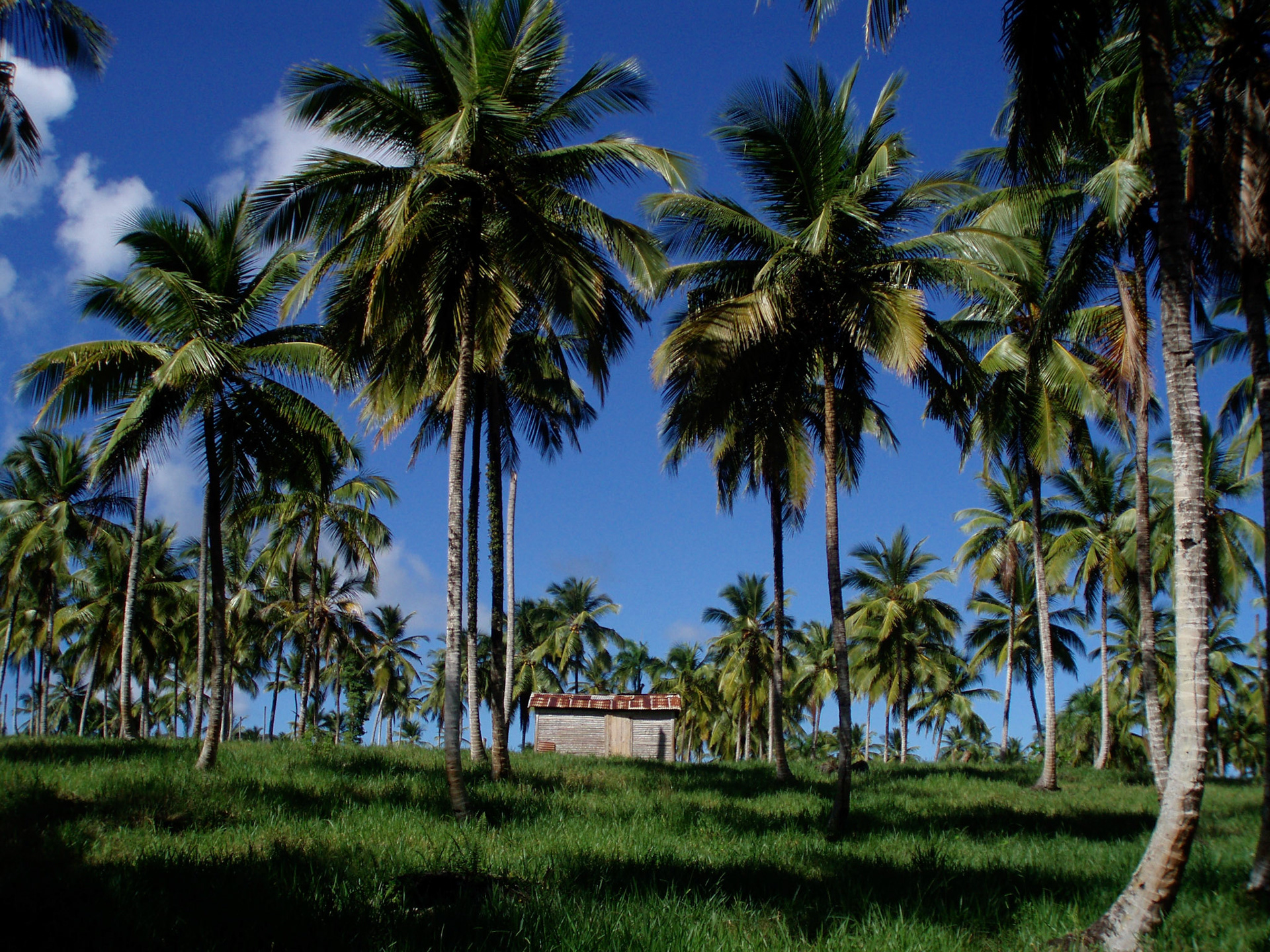 Cruz de Cabrera, Dominican Republic