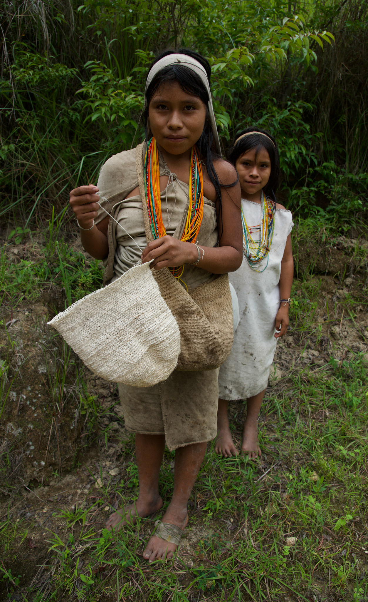Taminaka, Sierra Nevada de Santa Marta, Colombia