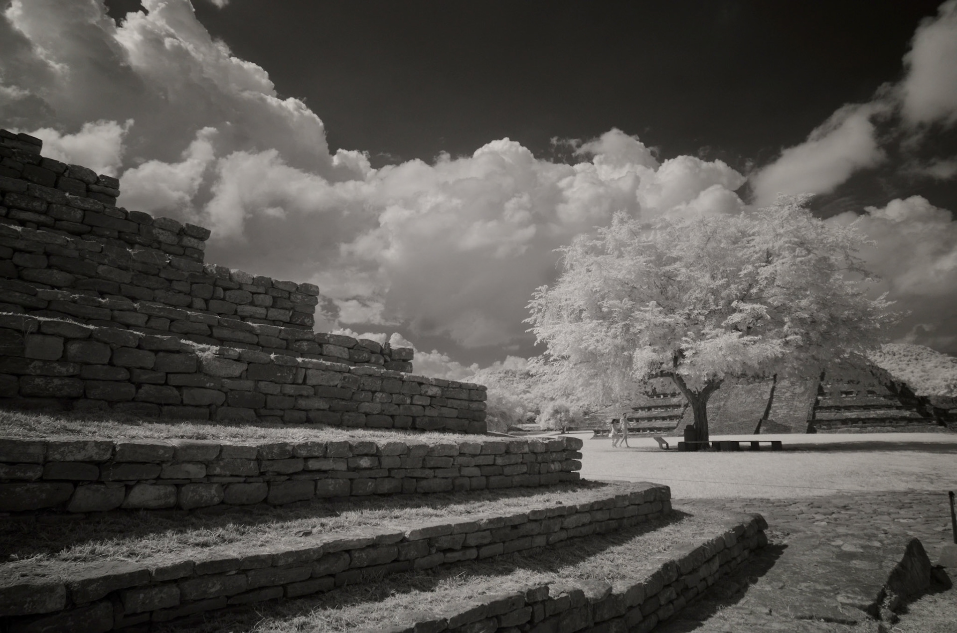 El Tajin. Veracruz, Mexico
