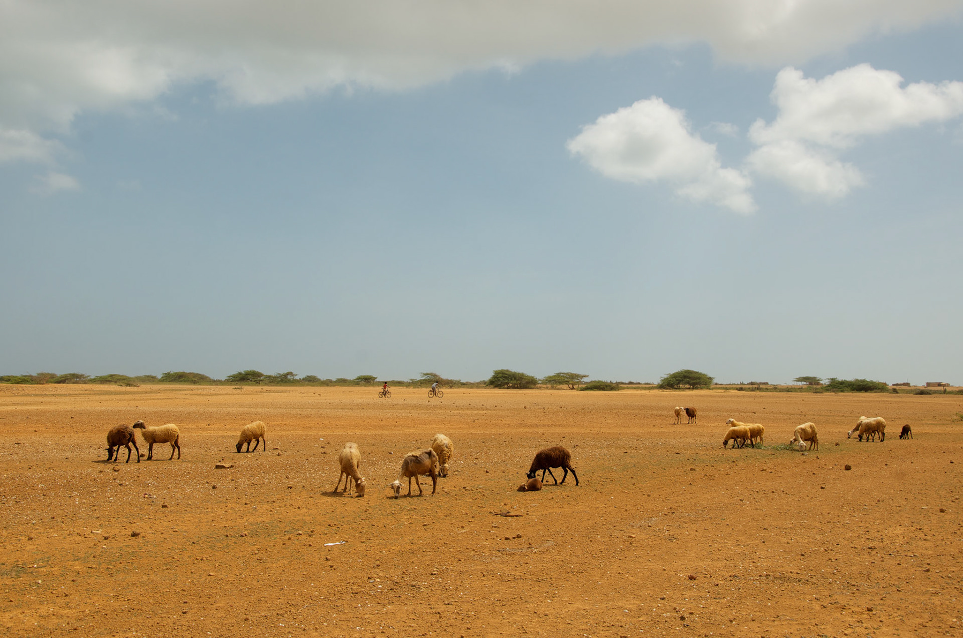 Punta Gallinas, Colombia