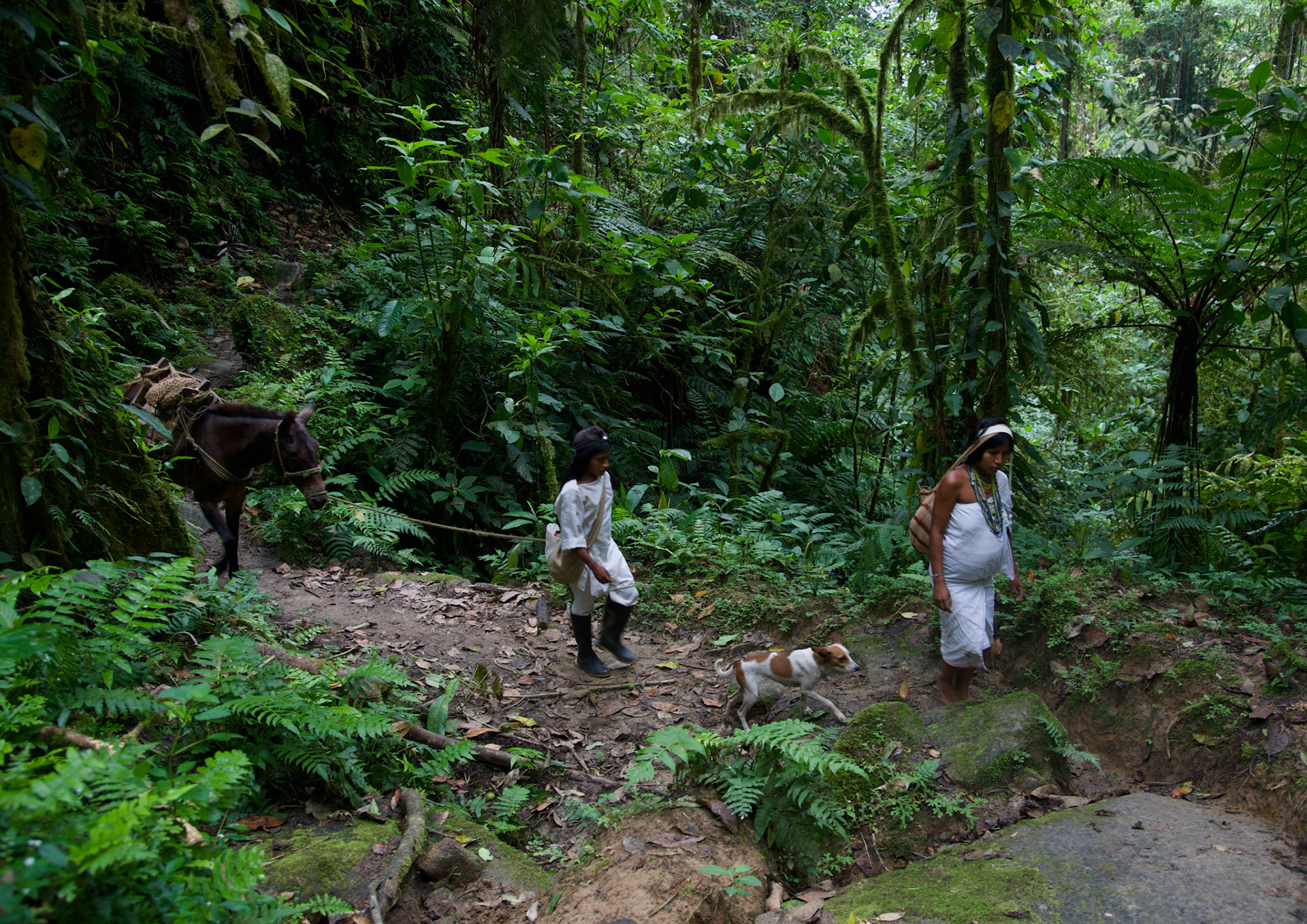 Sierra Nevada de Santa Marta, Colombia