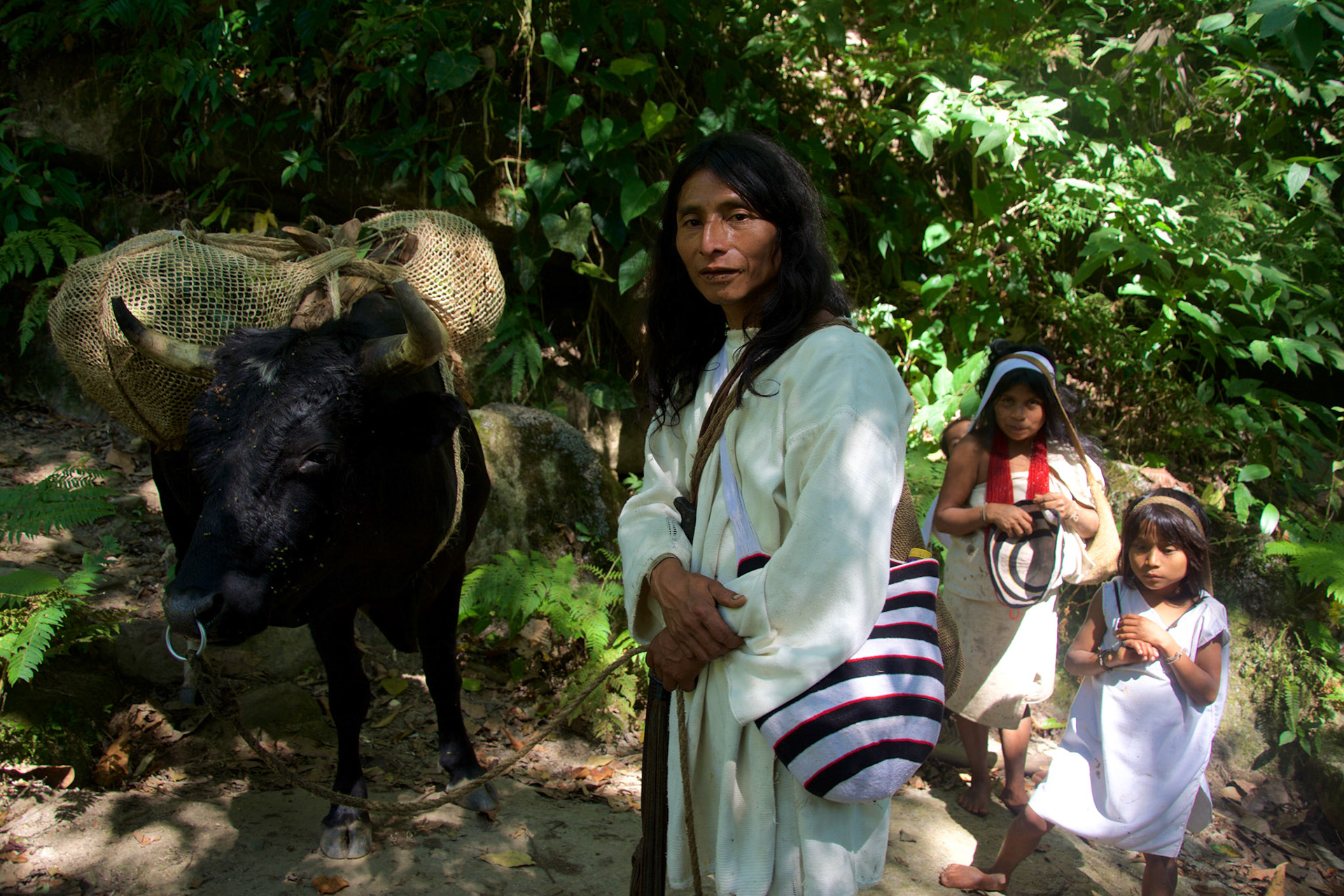 Sierra Nevada de Santa Marta, Colombia