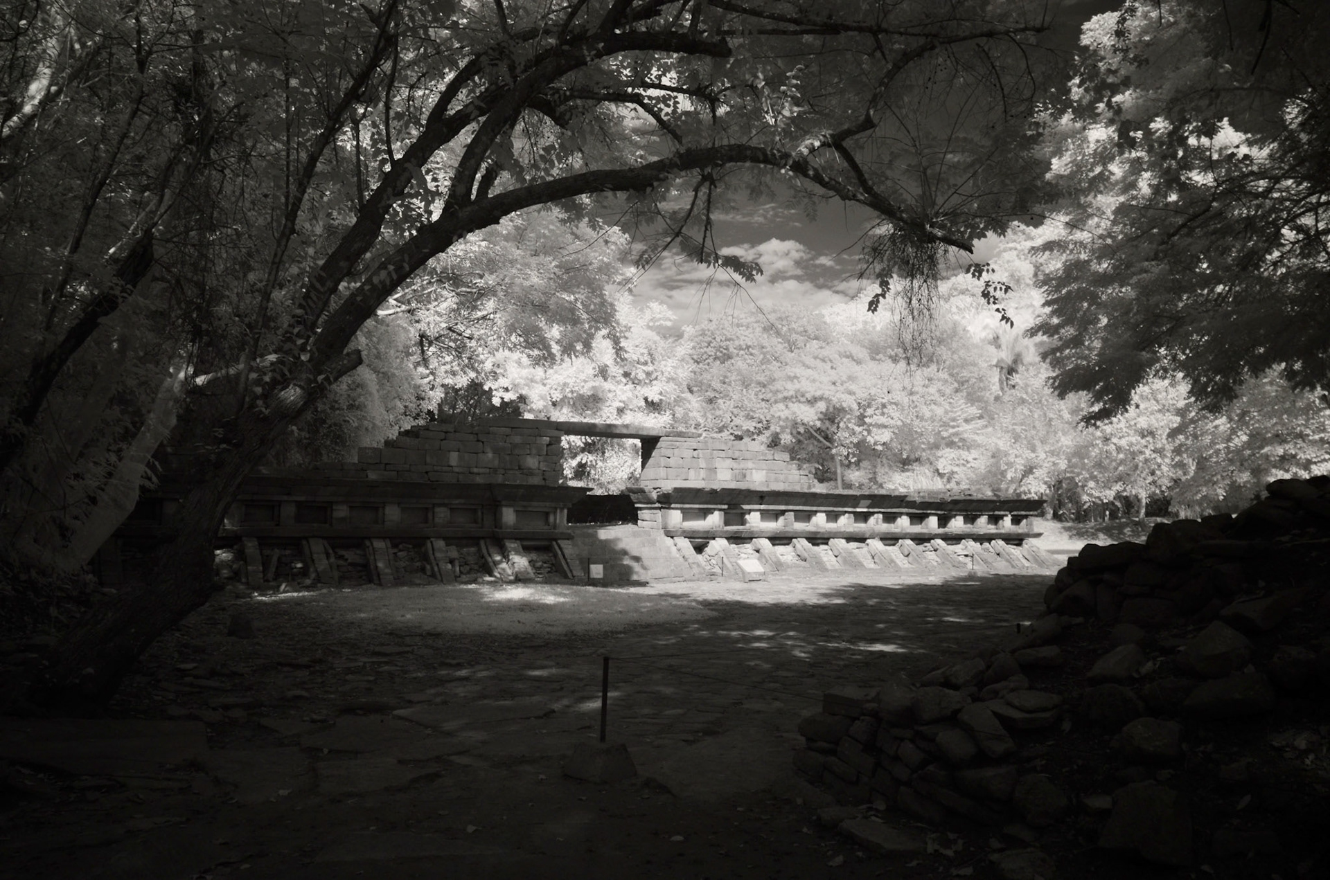 El Tajin. Veracruz, Mexico