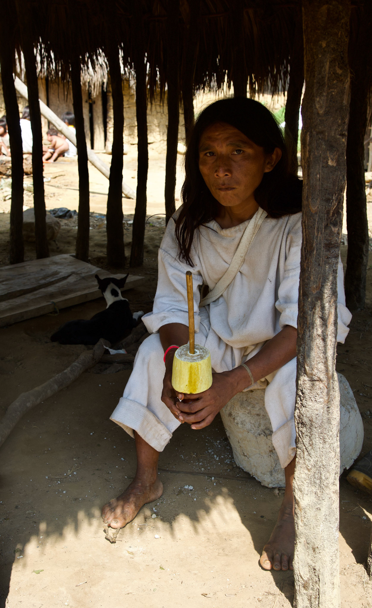 Giwata, Sierra Nevada de Santa Marta, Colombia