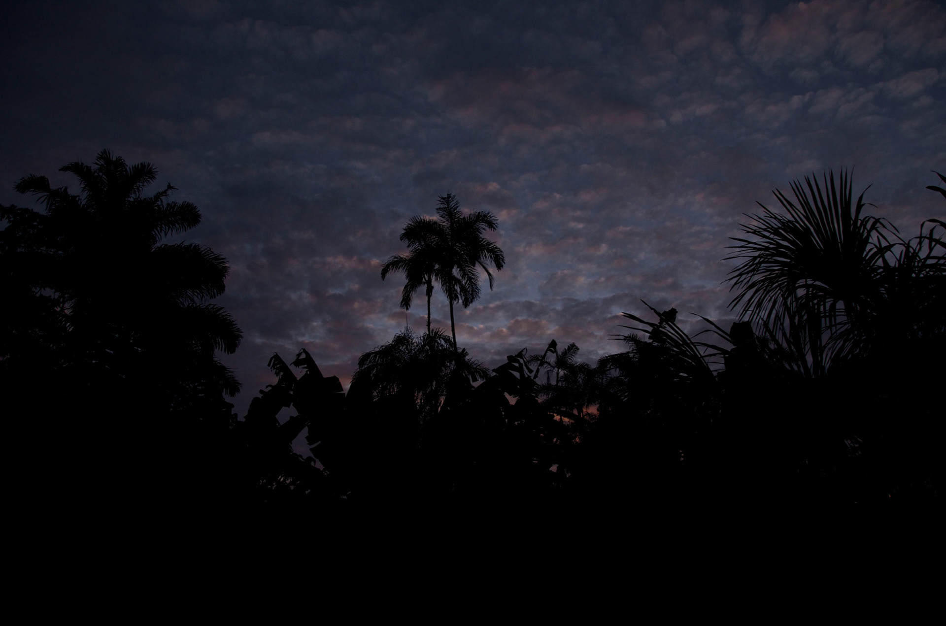 Sundown Rio Cuyabeno, Remolino, Ecuador