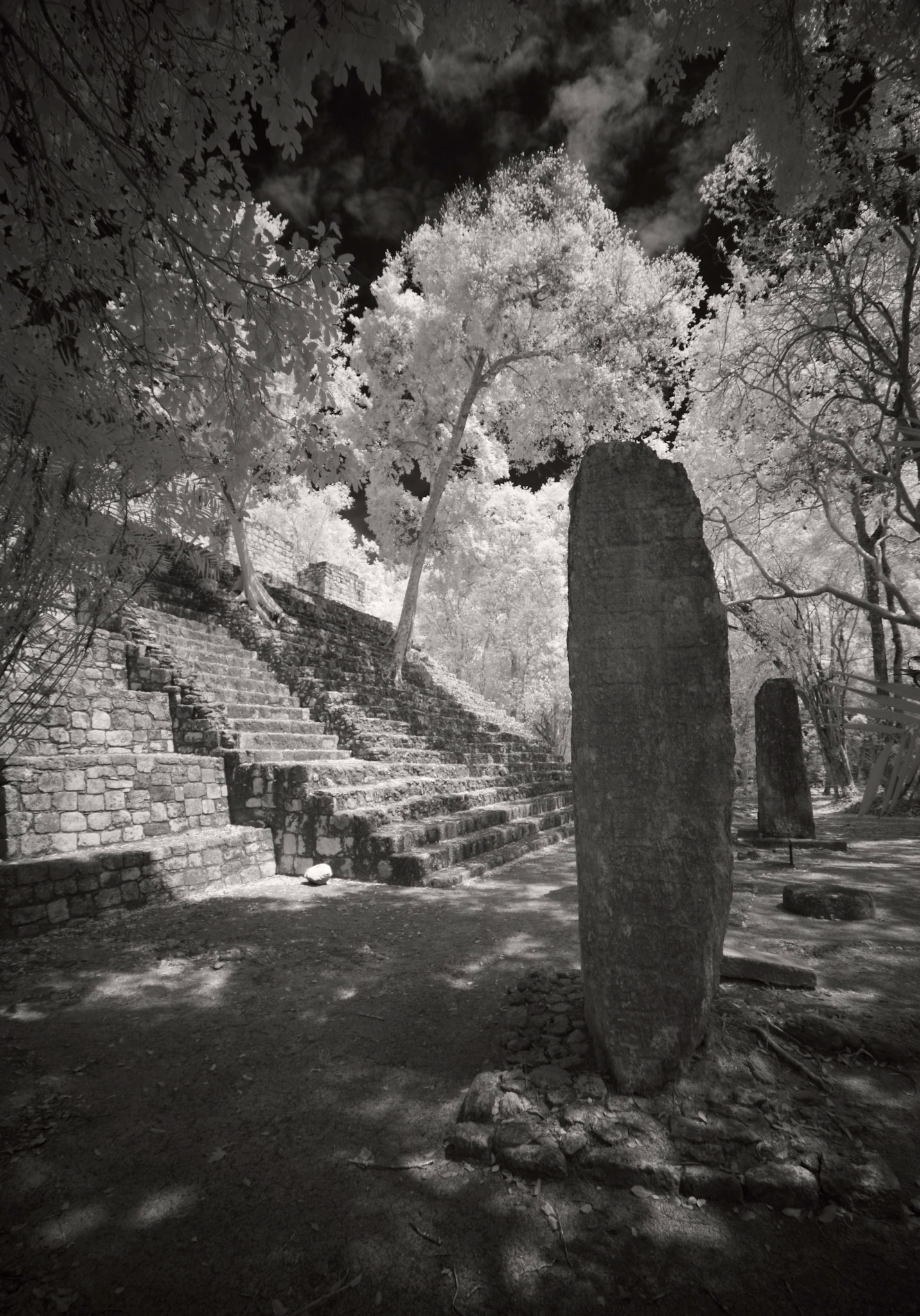 Calakmul. Campeche, Mexico