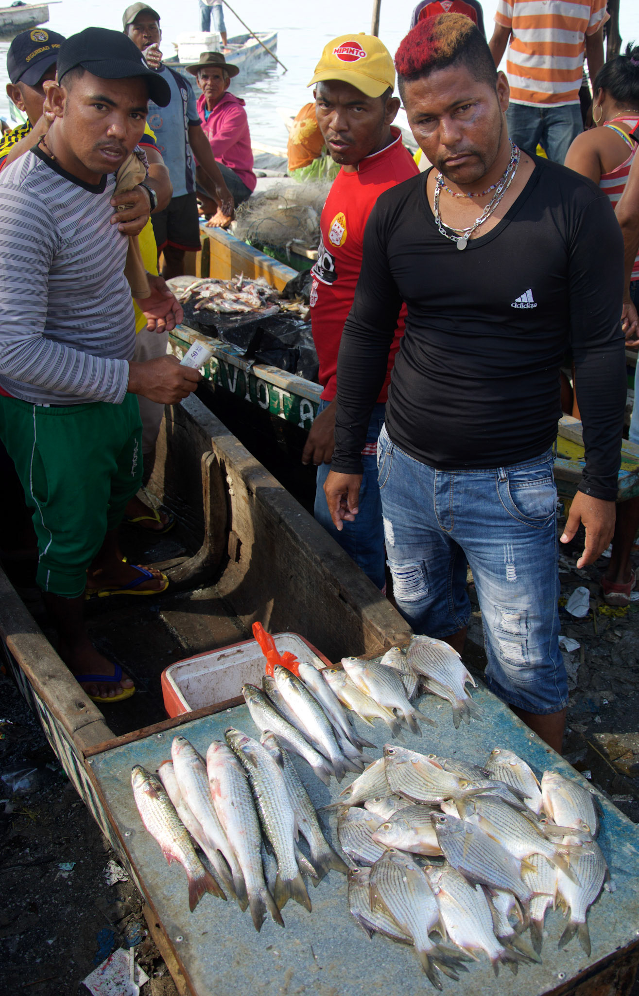 Melquiades & Friends. Tasajera, Colombia