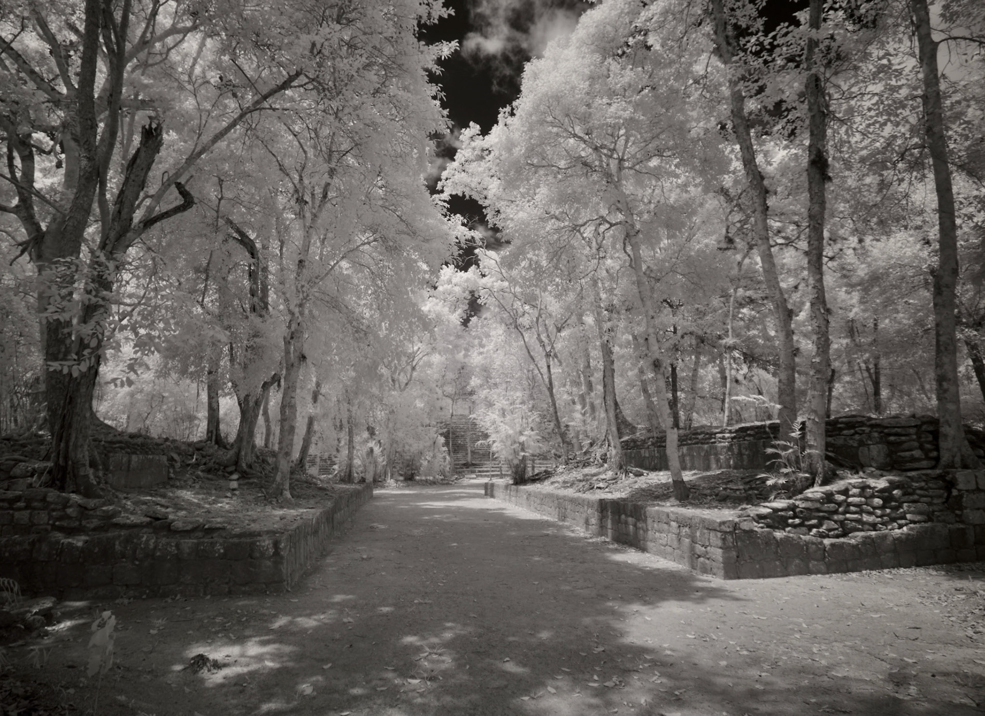 Calakmul. Campeche, Mexico