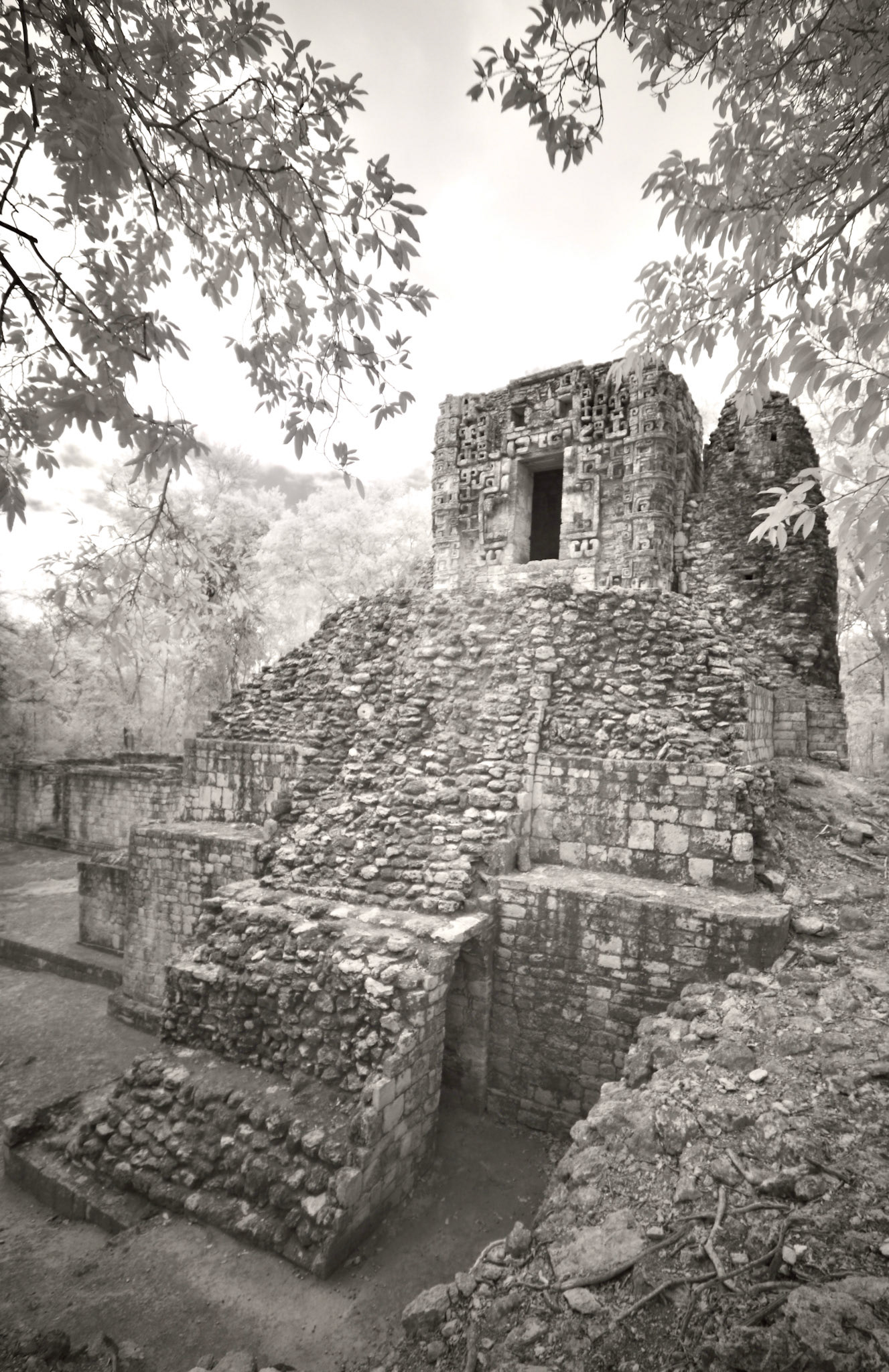 Hormigueros. Campeche, Mexico