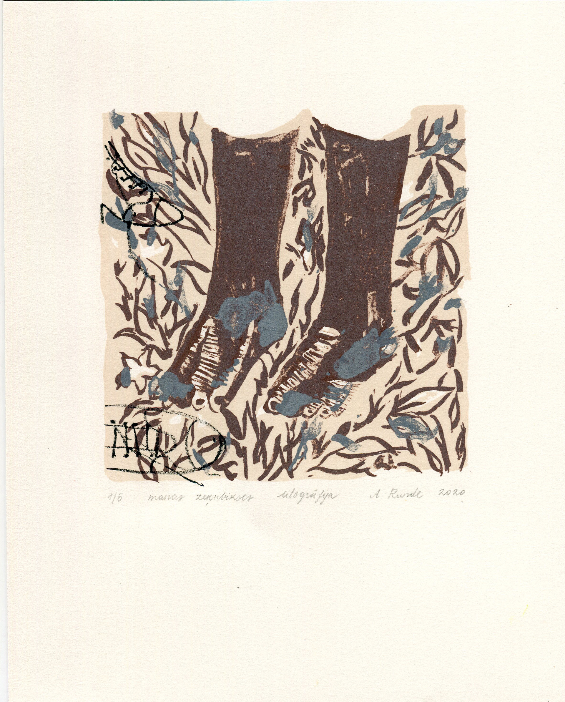 Manas zeķubikses, lithography, 2020