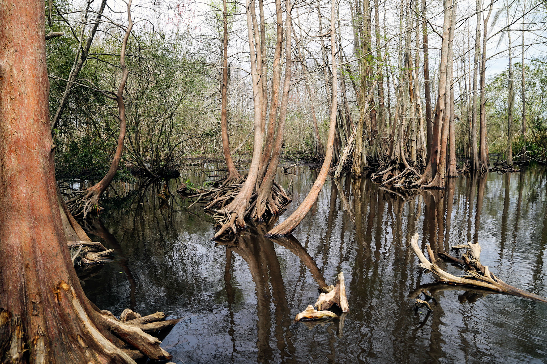 25-Bayou