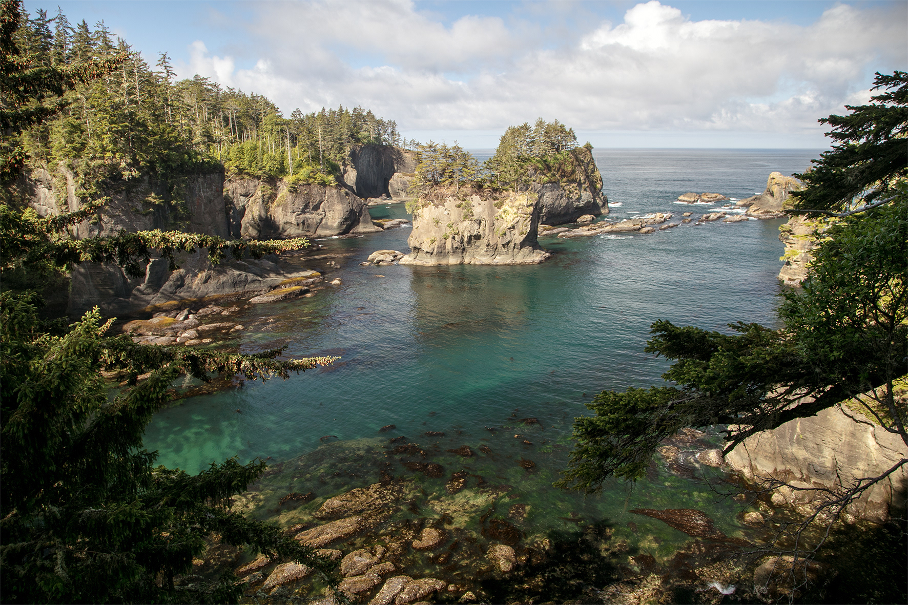 Cape Flattery