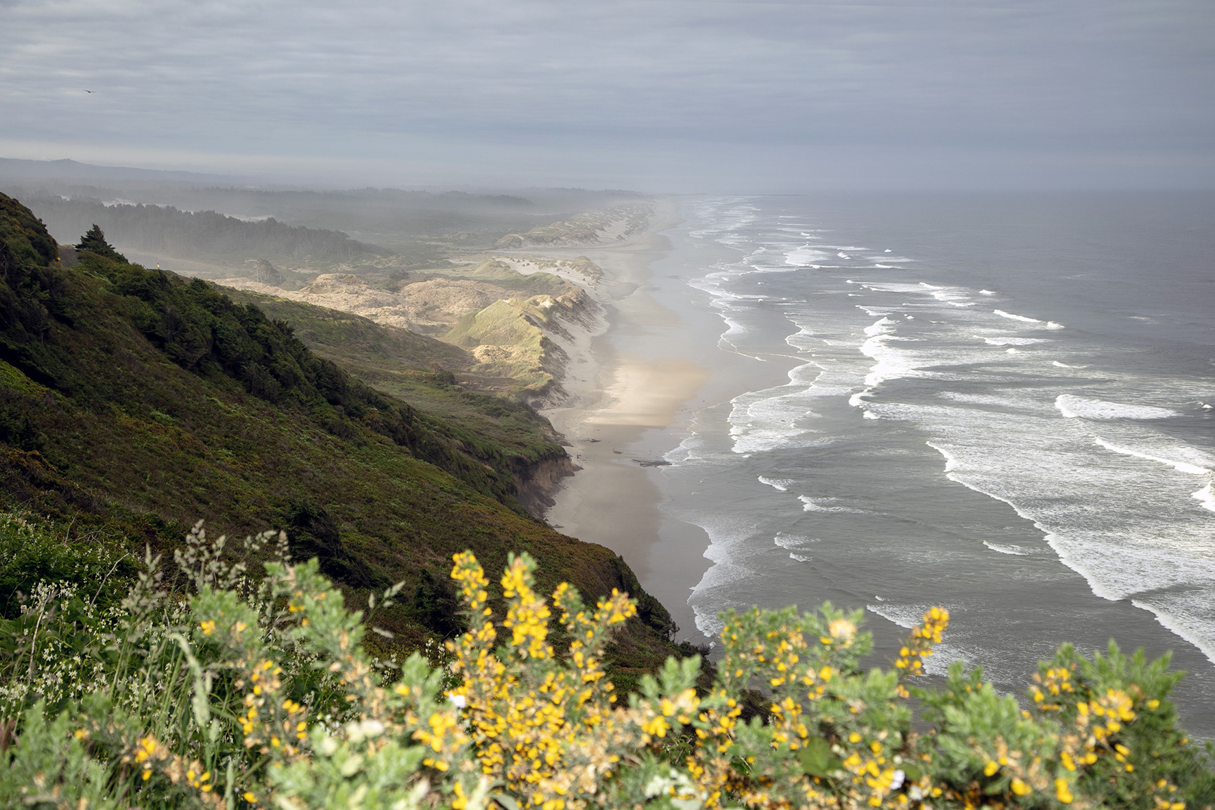 Entre Florence et Reedsport