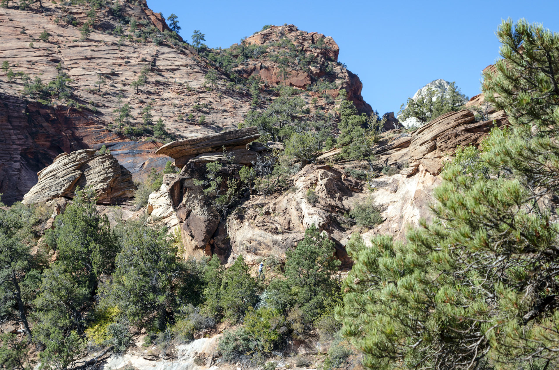 06-Zion NP