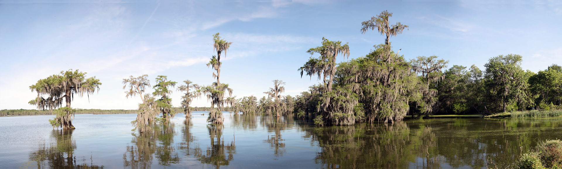 02- Lake Martin