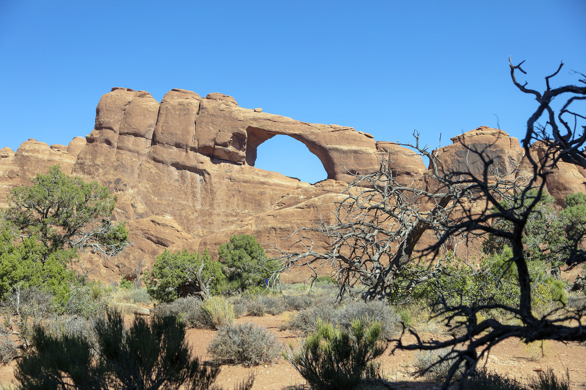 40-Arches NP