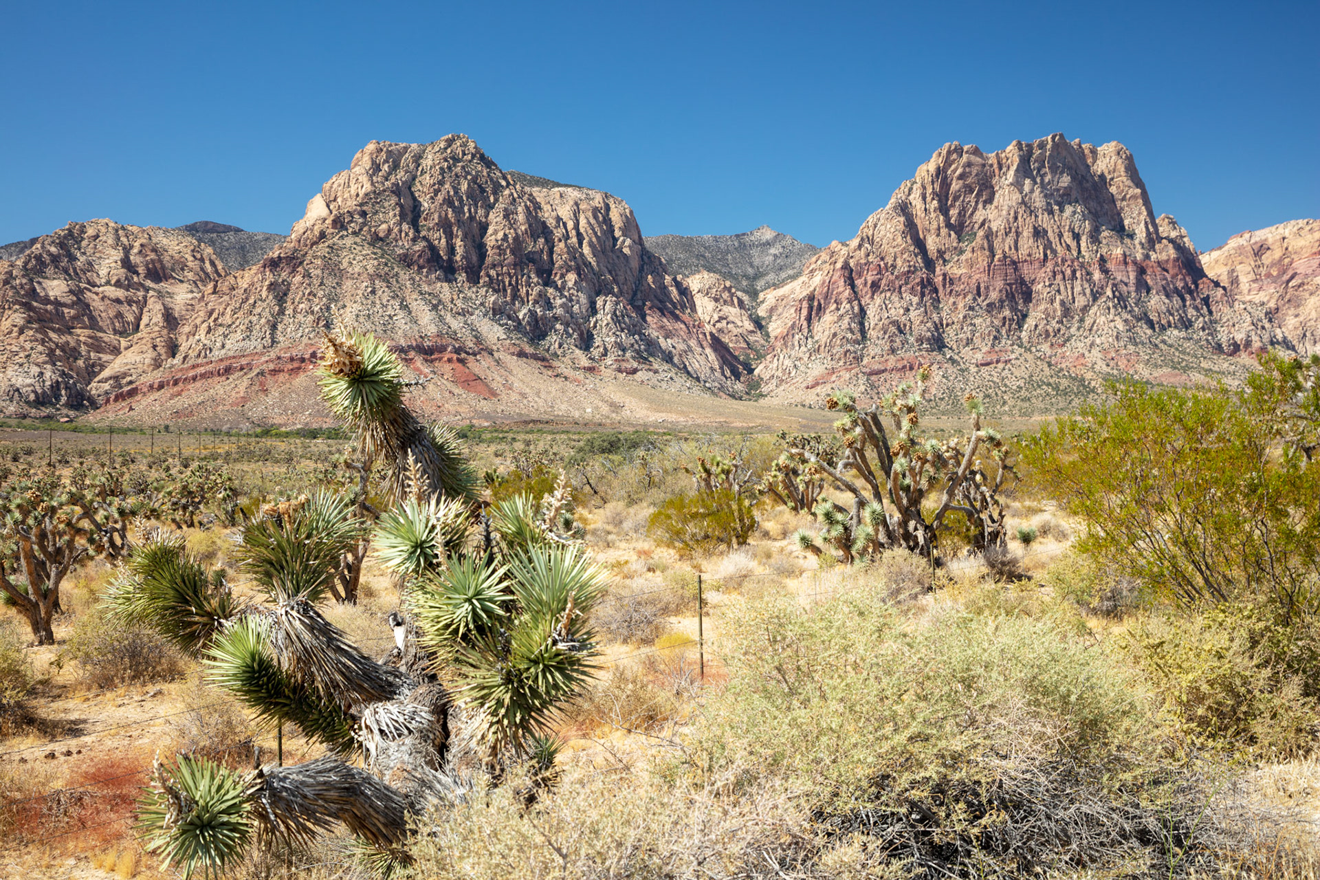 01-Red Rock Canyon NP