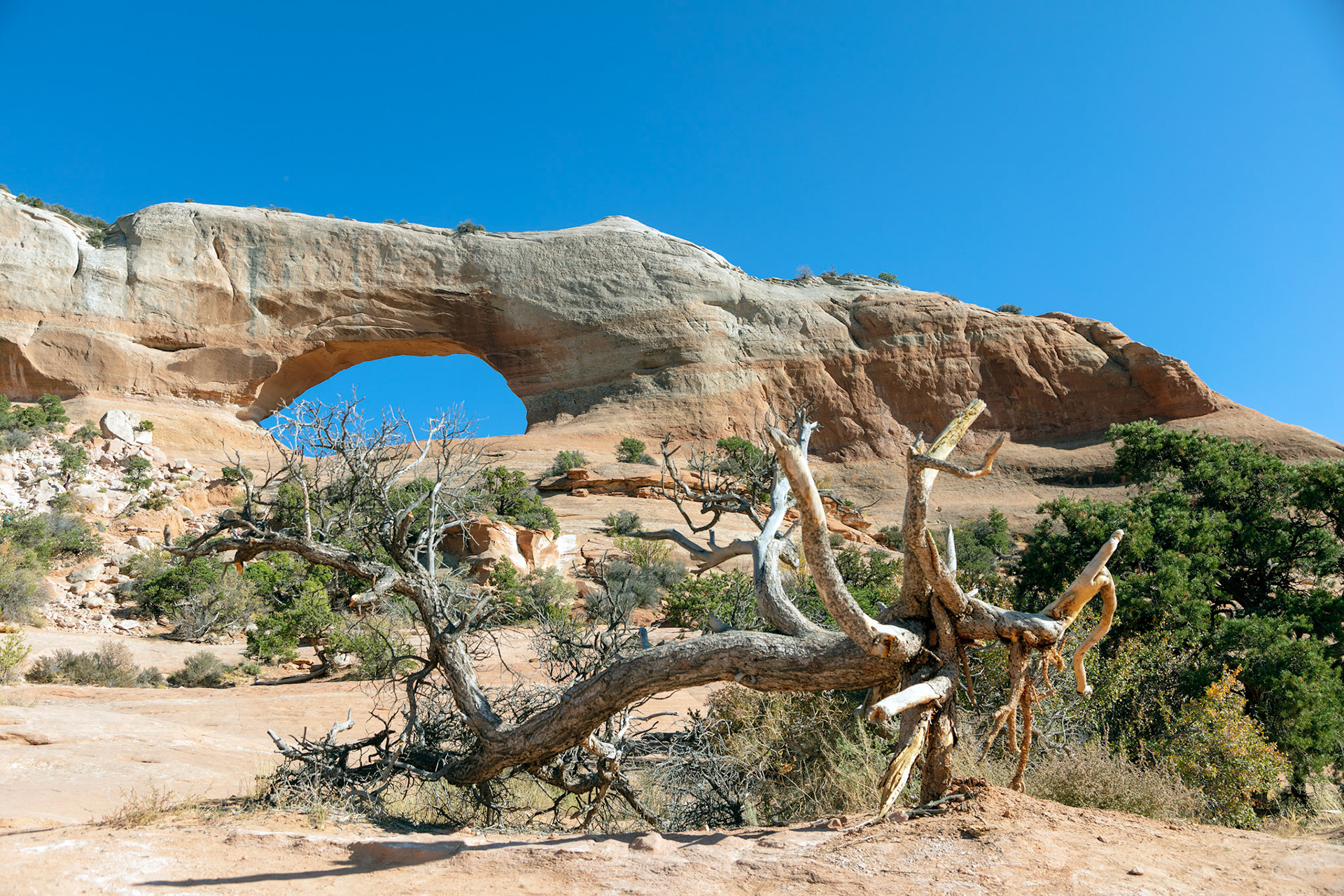 35-Capitol Reef NP