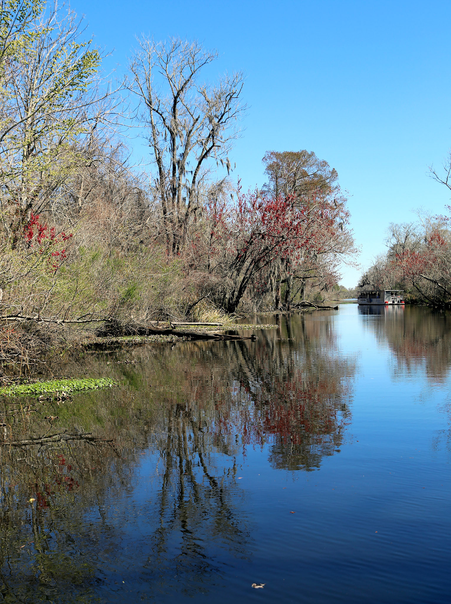12-Bayou