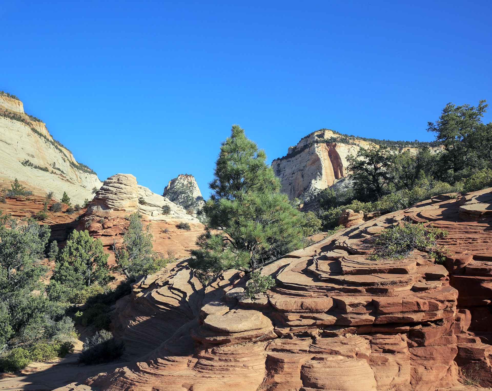 03-Zion NP