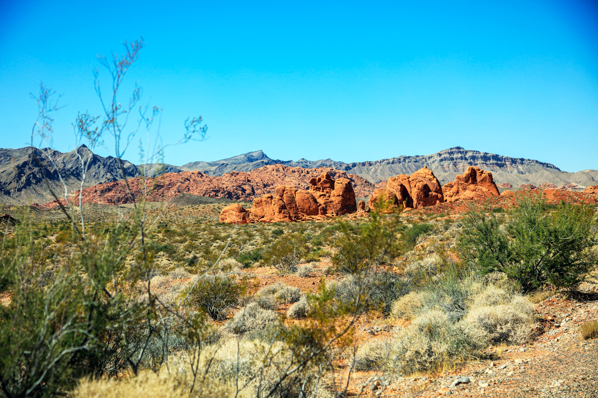 08-Valley Of Fire