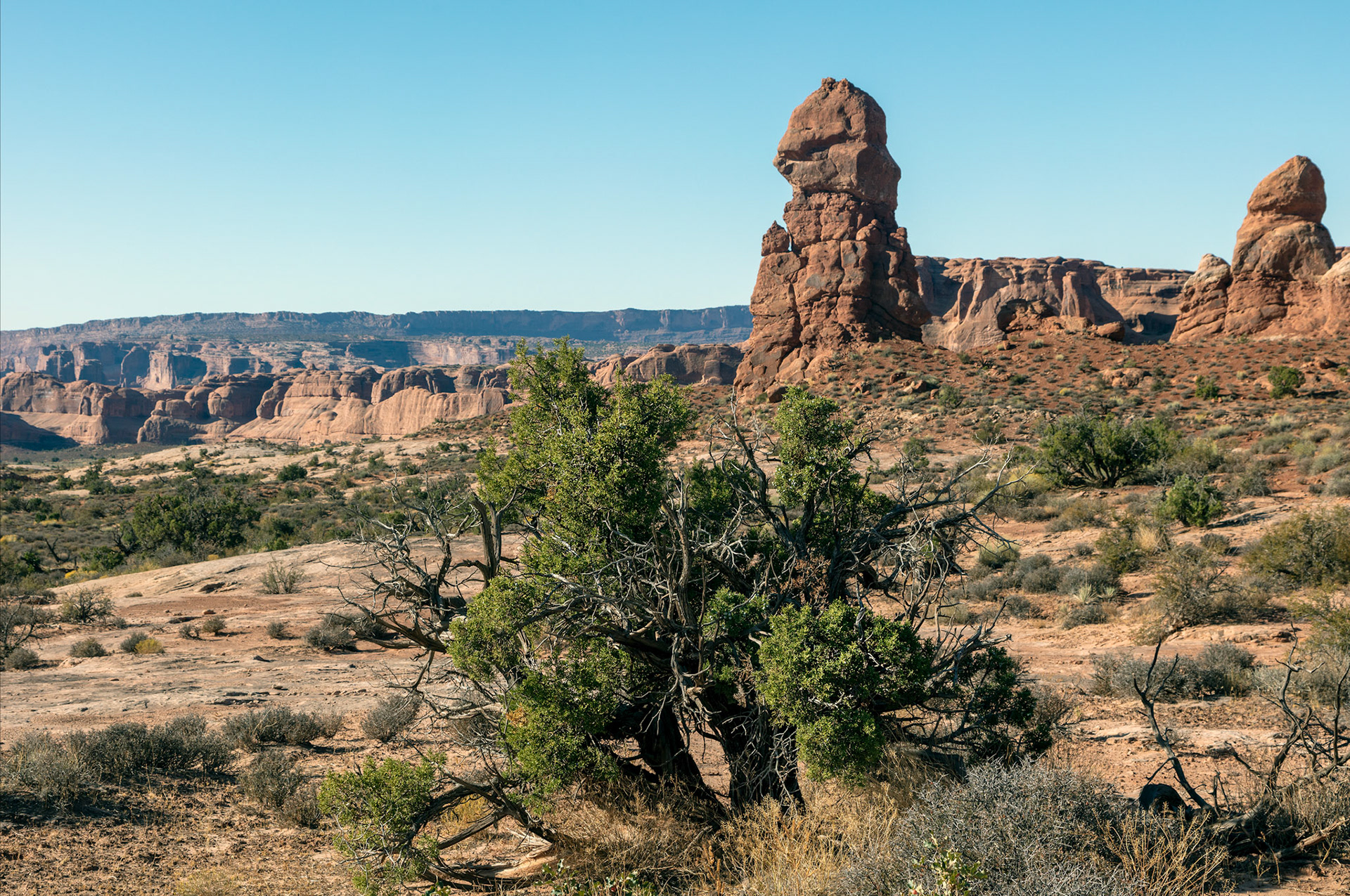 36-Arches NP