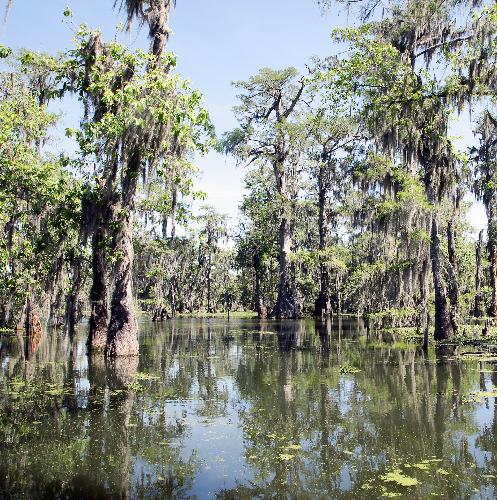 08- Lake Martin