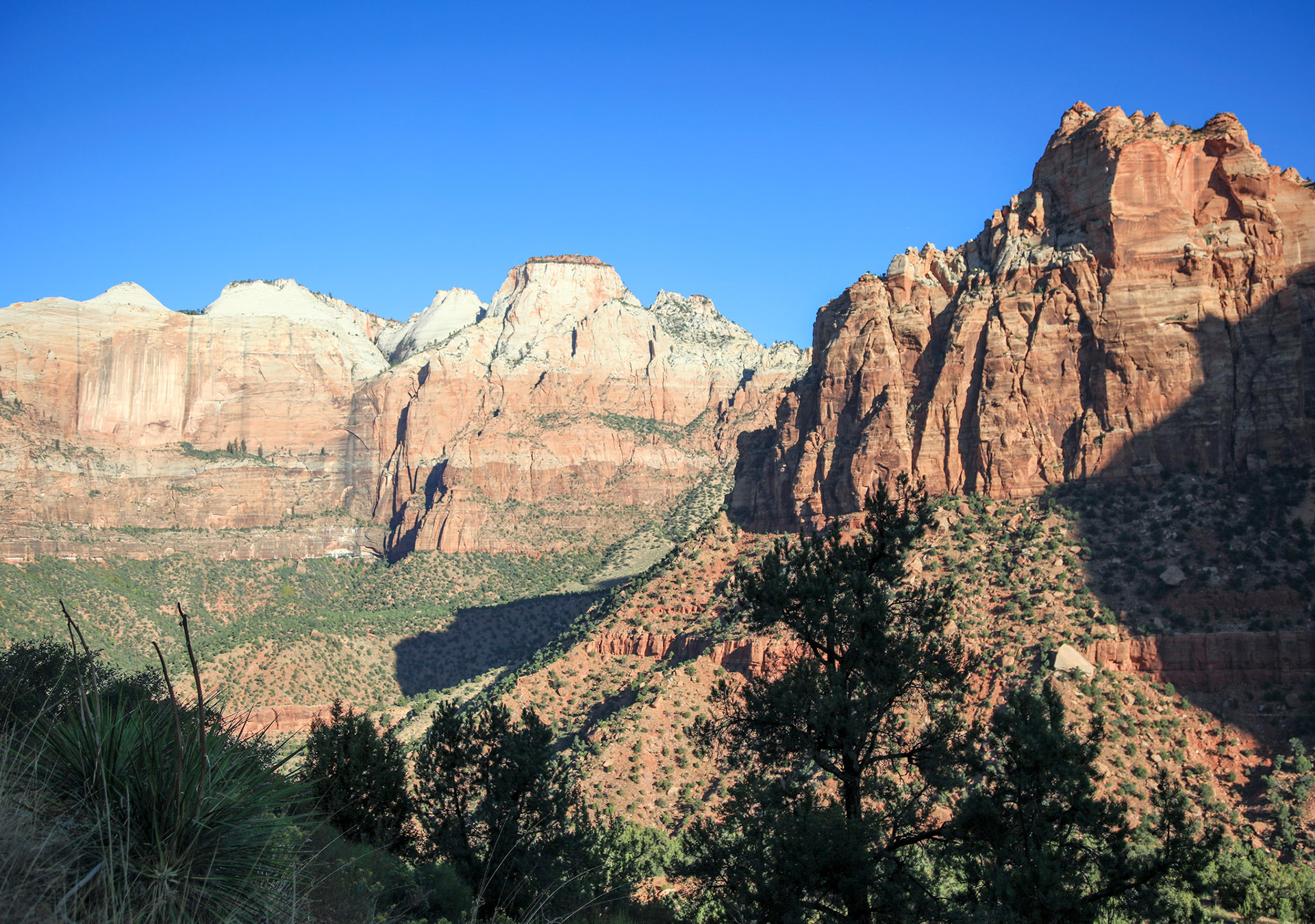 02-Zion NP
